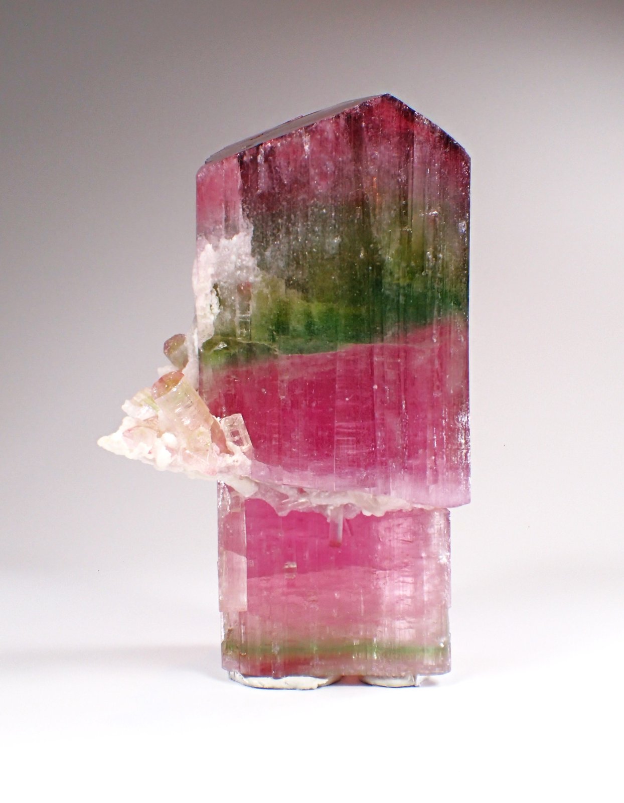 Elbaite (Tourmaline Group), Albite (variety cleavelandite)
115 mm x 67 mm x 55 mm
(Autor: Don Lum)
