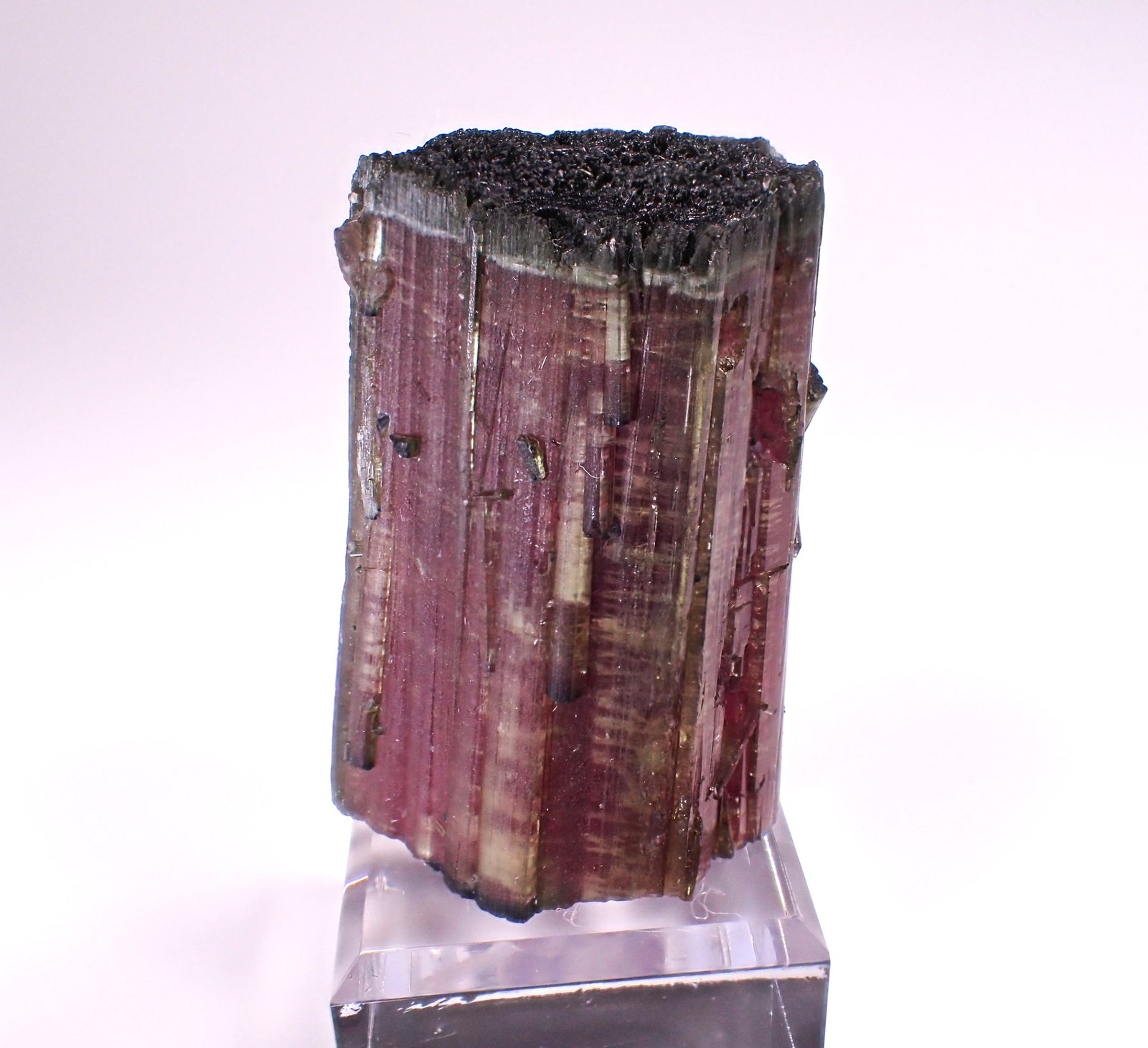 Elbaite (Tourmaline Group)
49 mm x 34 mm x 30mm
(Autor: Don Lum)