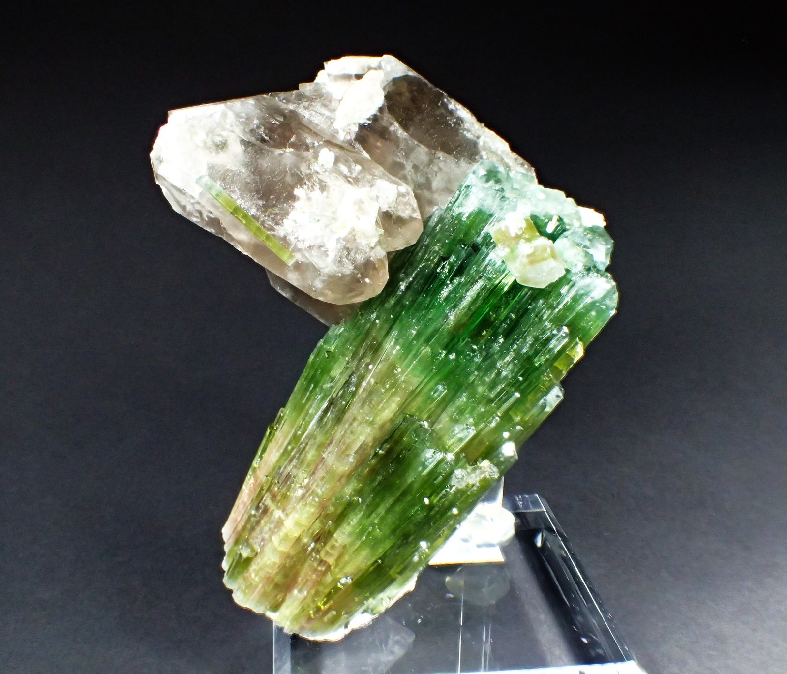 Elbaite variety verdelite (Tourmaline Group), Quartz (variety smoky quartz)
15 cm x 14 cm x 9.7 cm
(Autor: Don Lum)