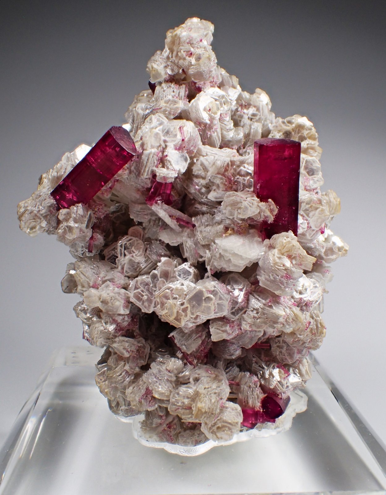 Elbaite (variety rubellite)  (Tourmaline Group), Muscovite
130 mm x 91 mm x 70 mm
(Autor: Don Lum)