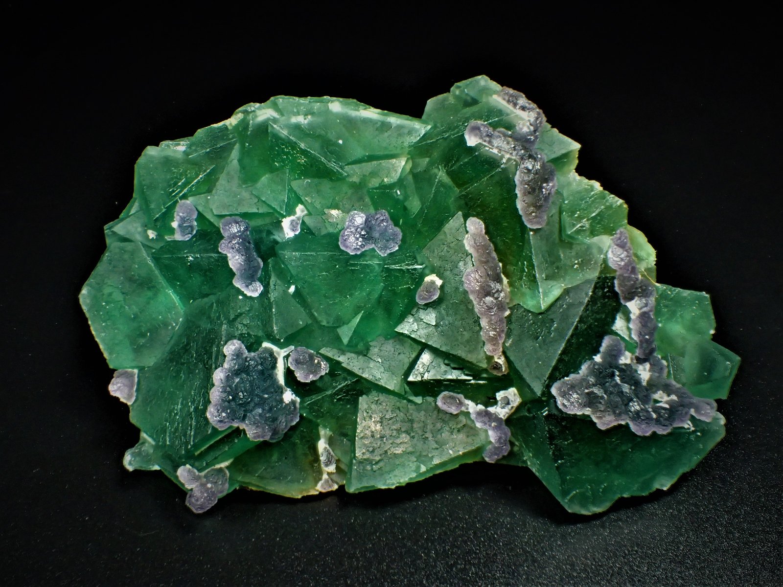Fluorite
111 mm x 74 mm x 23 mm
(Autor: Don Lum)