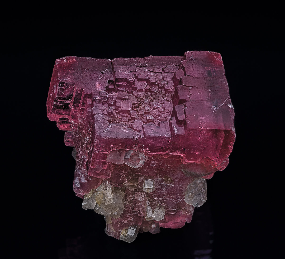 Rhodochrosite, Quartz
3.5 x 3.7 cm
(Autor: am mizunaka)