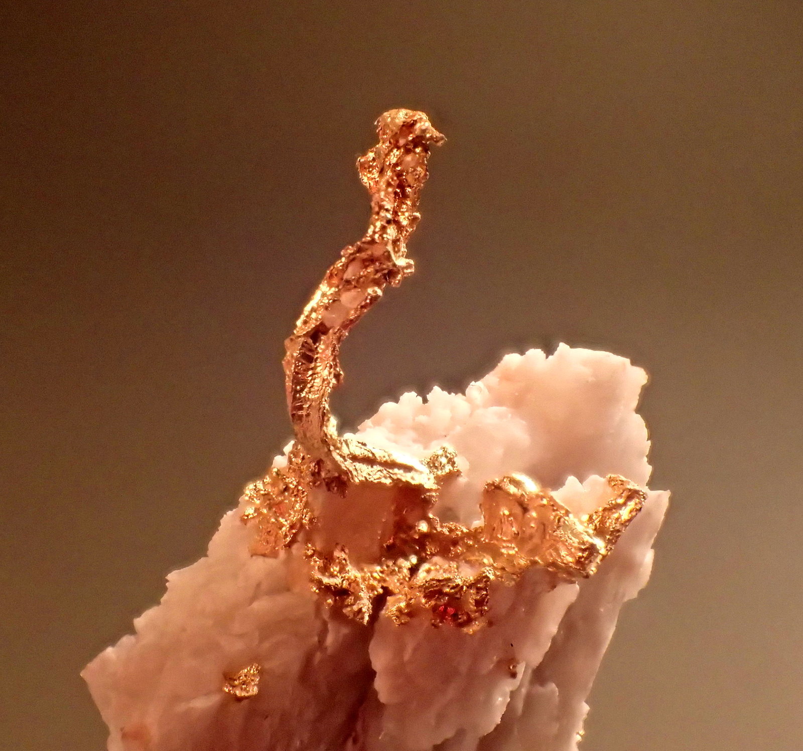 Gold, Quartz
33 mm x 25 mm 10 mm
(Autor: Don Lum)