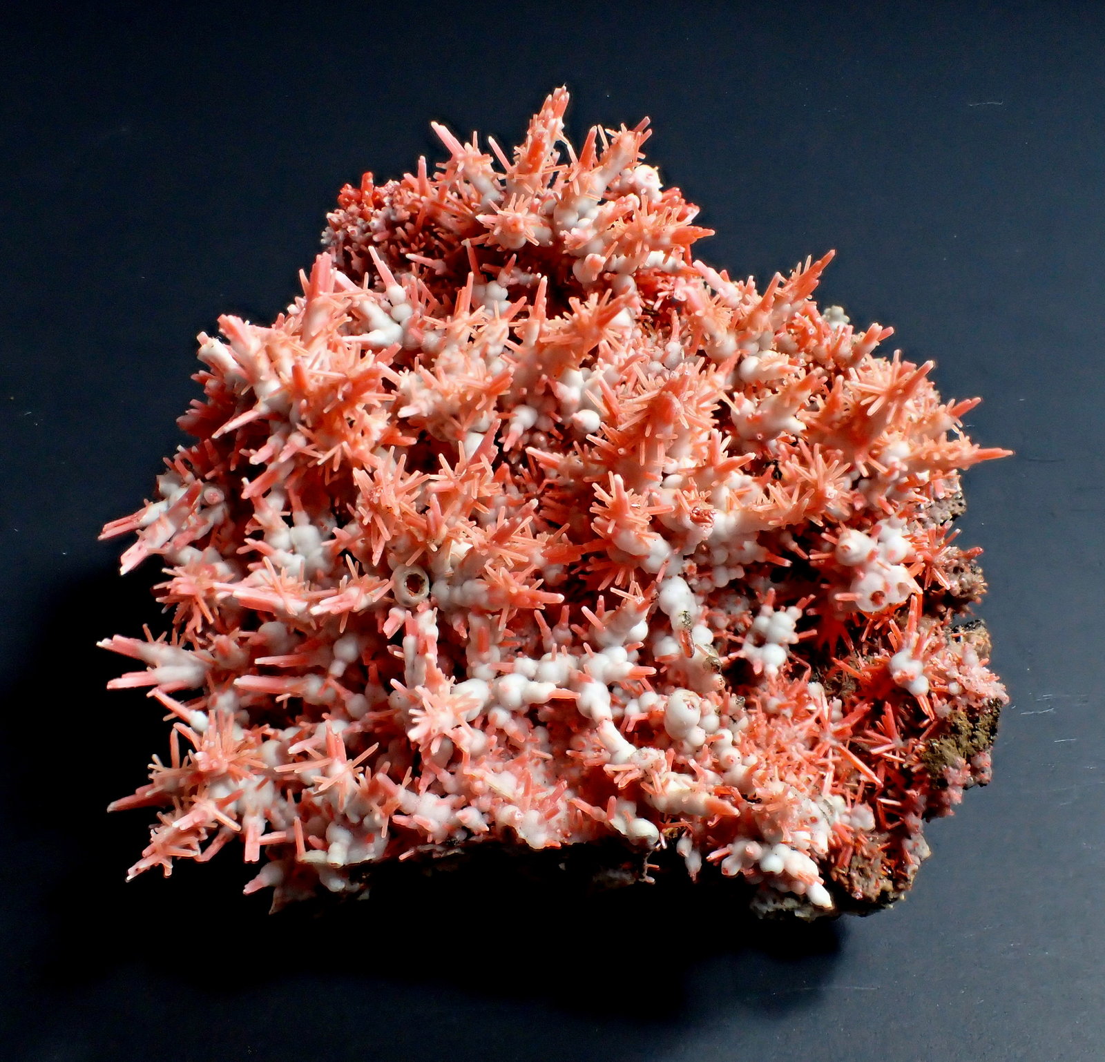 Crocoite, Gibbsite
66 mm x 55 mm x 29 mm
(Autor: Don Lum)