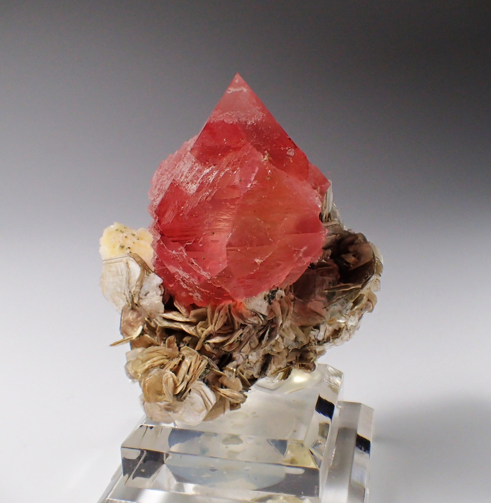 Fluorite, Muscovite
60 mmx x 58 mm x 40 mm
(Autor: Don Lum)