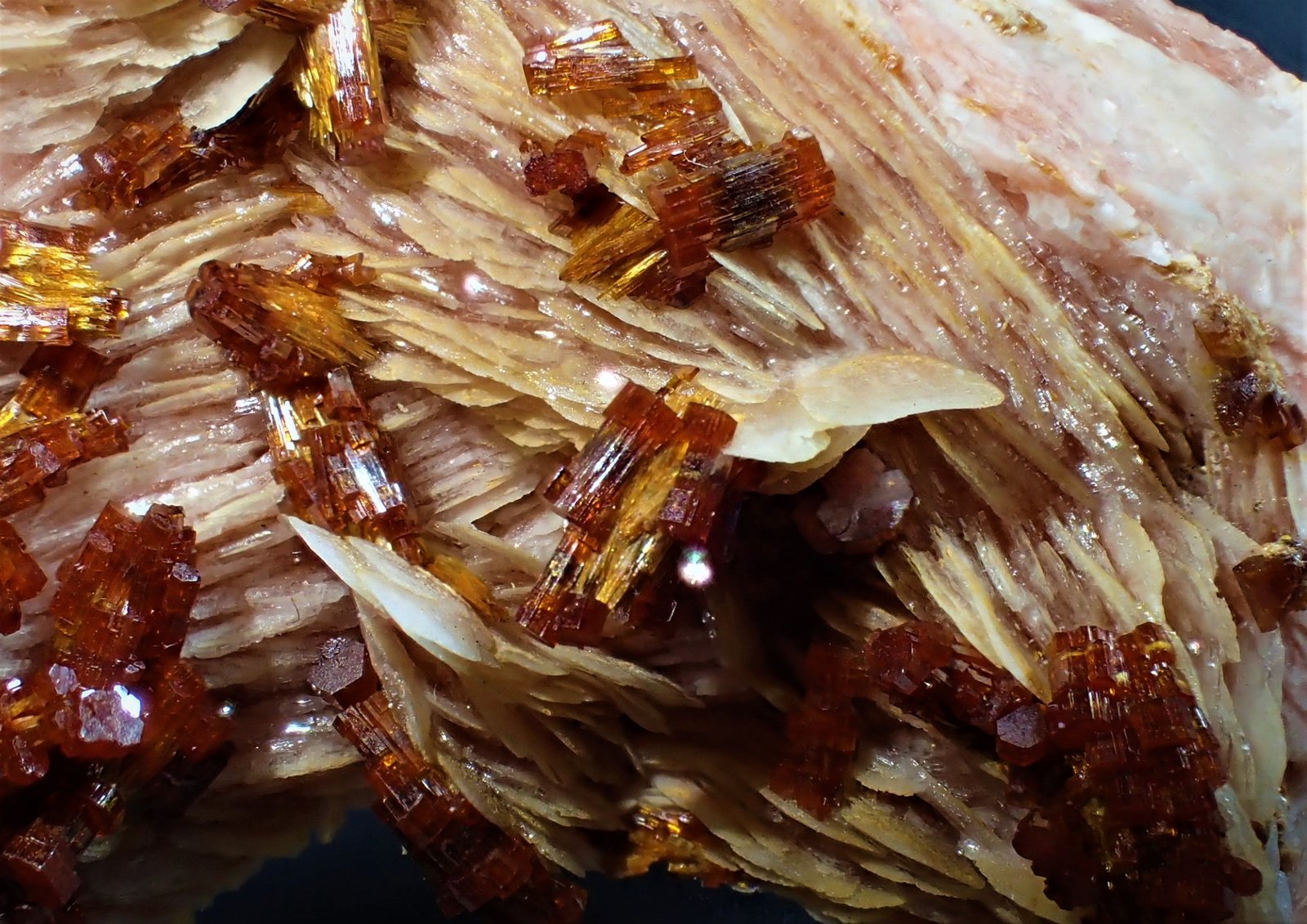 Vanadinite, Baryte
42 mm x 41 mm x 27 mm
(Autor: Don Lum)