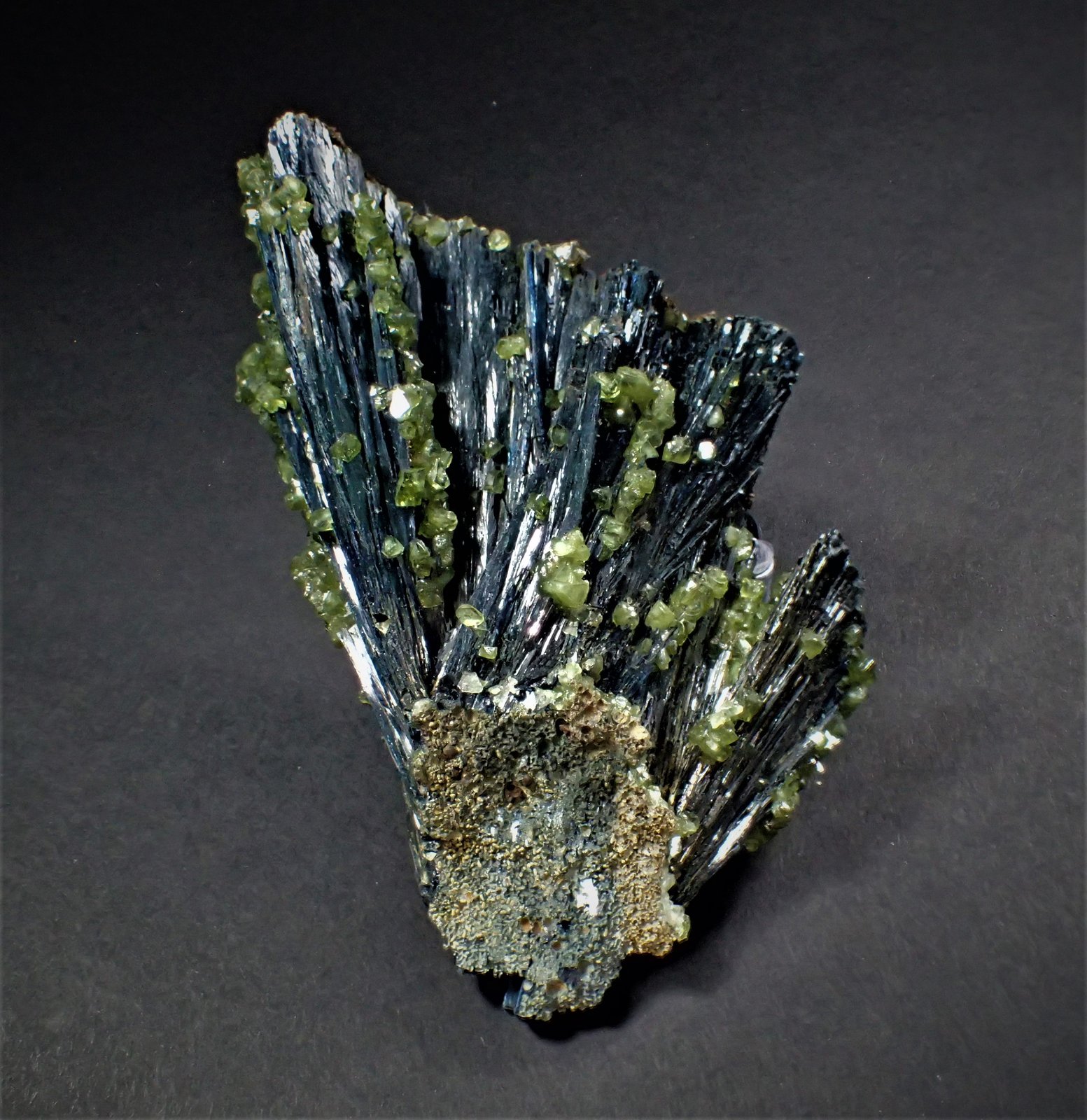 Vivianite, Ludlamite
127 mm x 96 mm
(Autor: Don Lum)