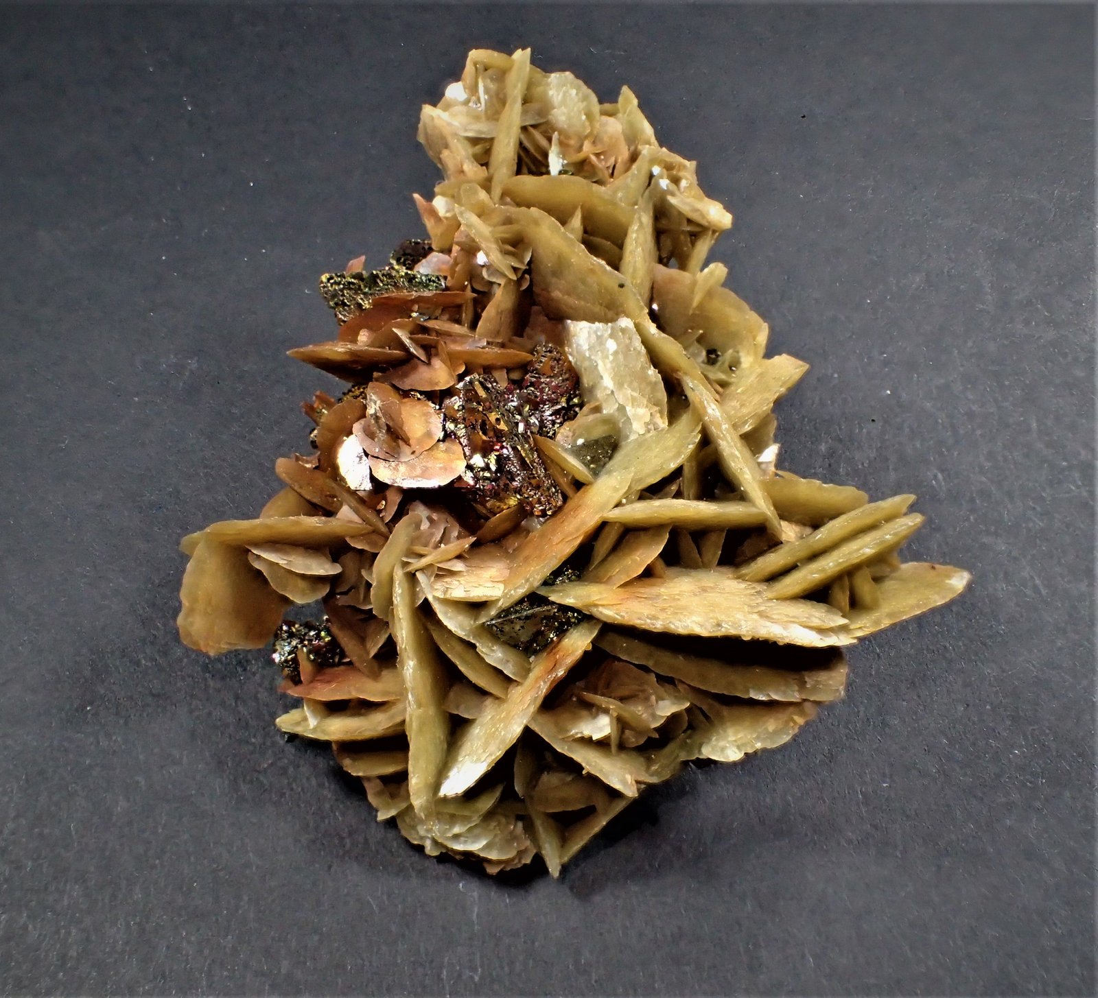 Siderite, Chalcopyrite,Tetrahedrite
73 mm x 65 mm
(Autor: Don Lum)