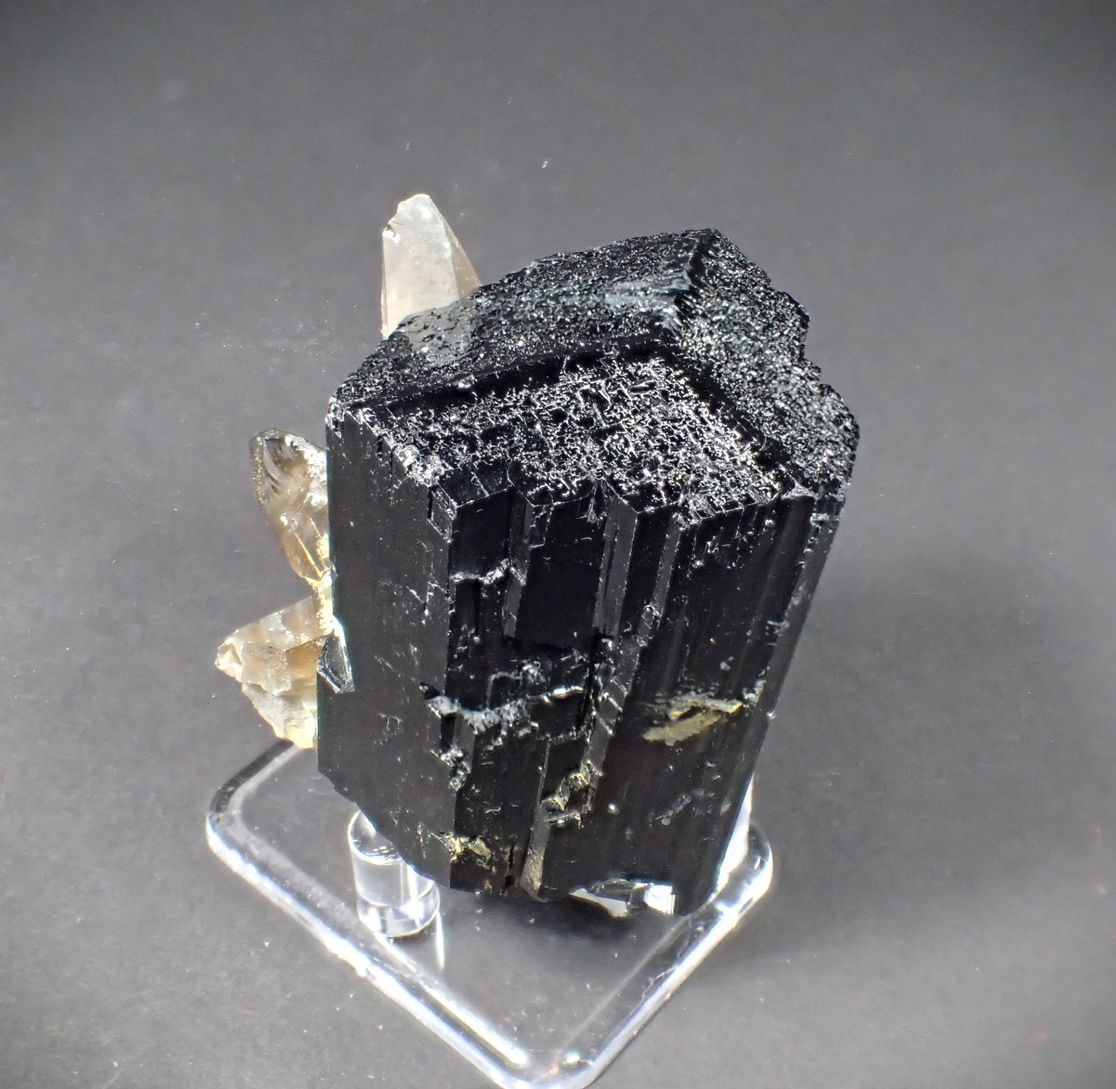 Schorl (Tourmaline Group), Quartz (variety smoky quartz)
65 mm x 62 mm x 42 mm
(Autor: Don Lum)