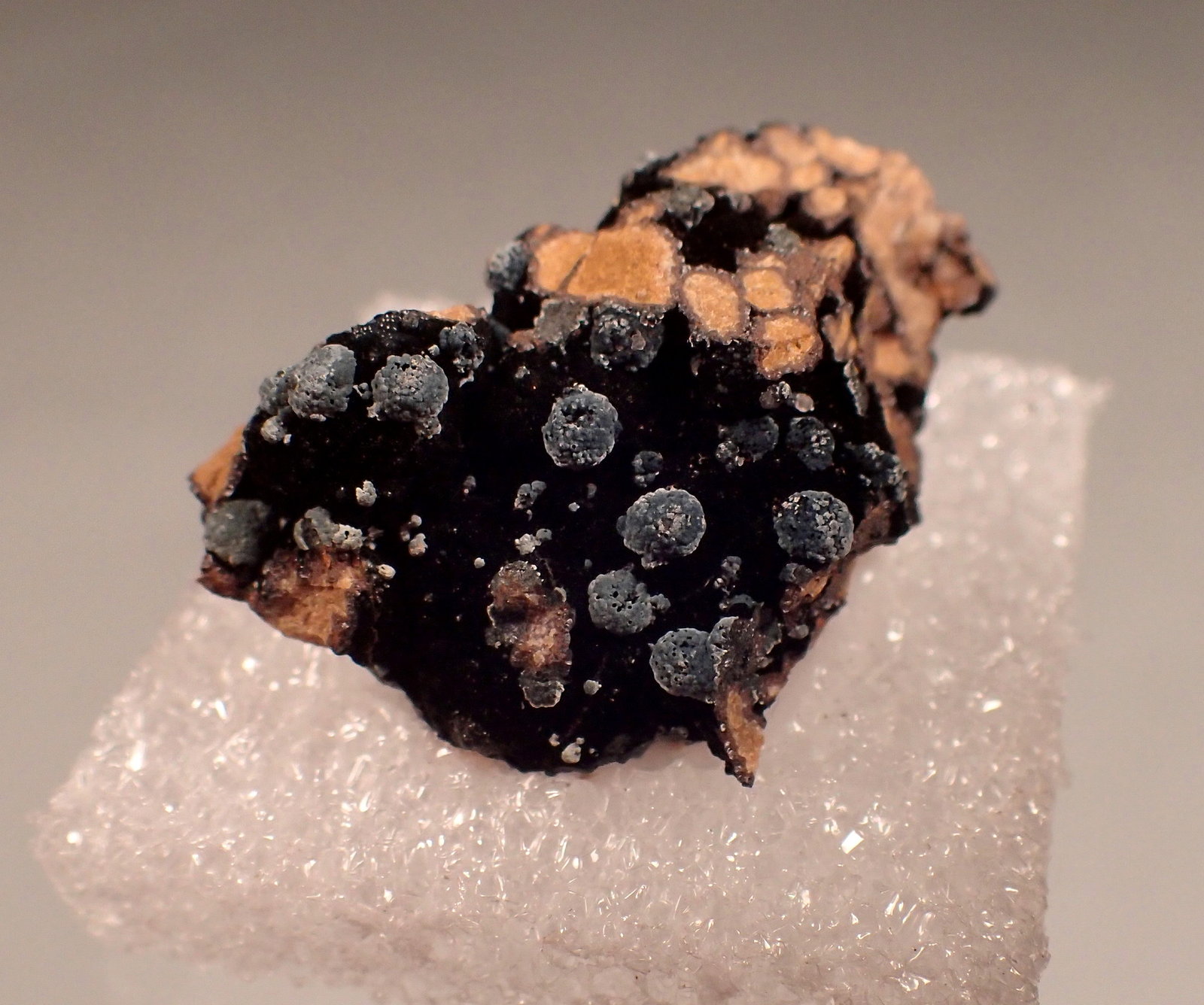 Kidwellite, Rockbridgeite
32mm x 20mm x 12mm
(Autor: Don Lum)