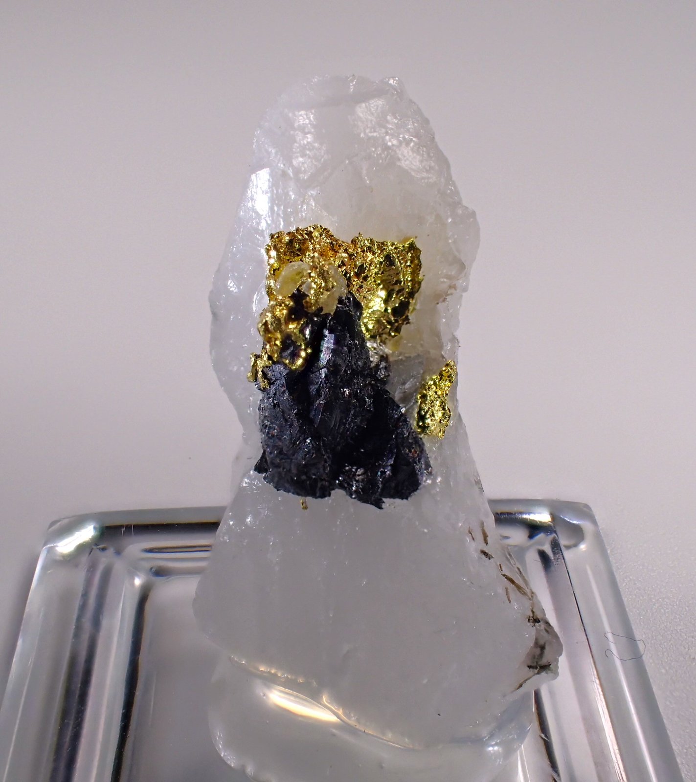 Native Gold, Sphalerite, Quartz
26 mm x 15 mm x 15 mm
(Autor: Don Lum)