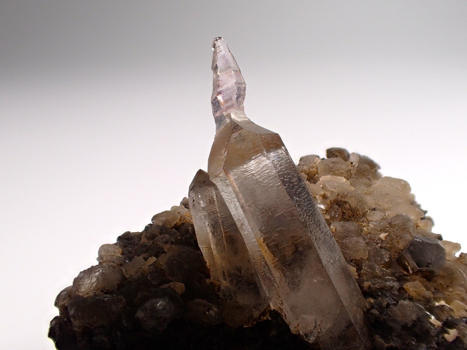 Quartz (variety reverse scepter), Calcite
62 mm x 49 mm x 27 mm
(Autor: Don Lum)