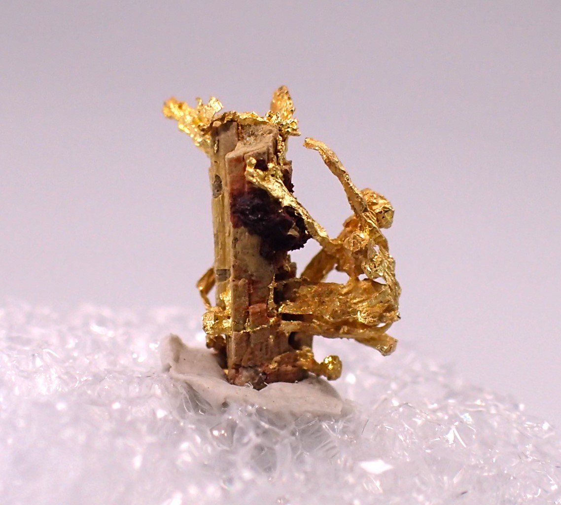 Gold
6.5 mm x 7 mm
(Autor: Don Lum)