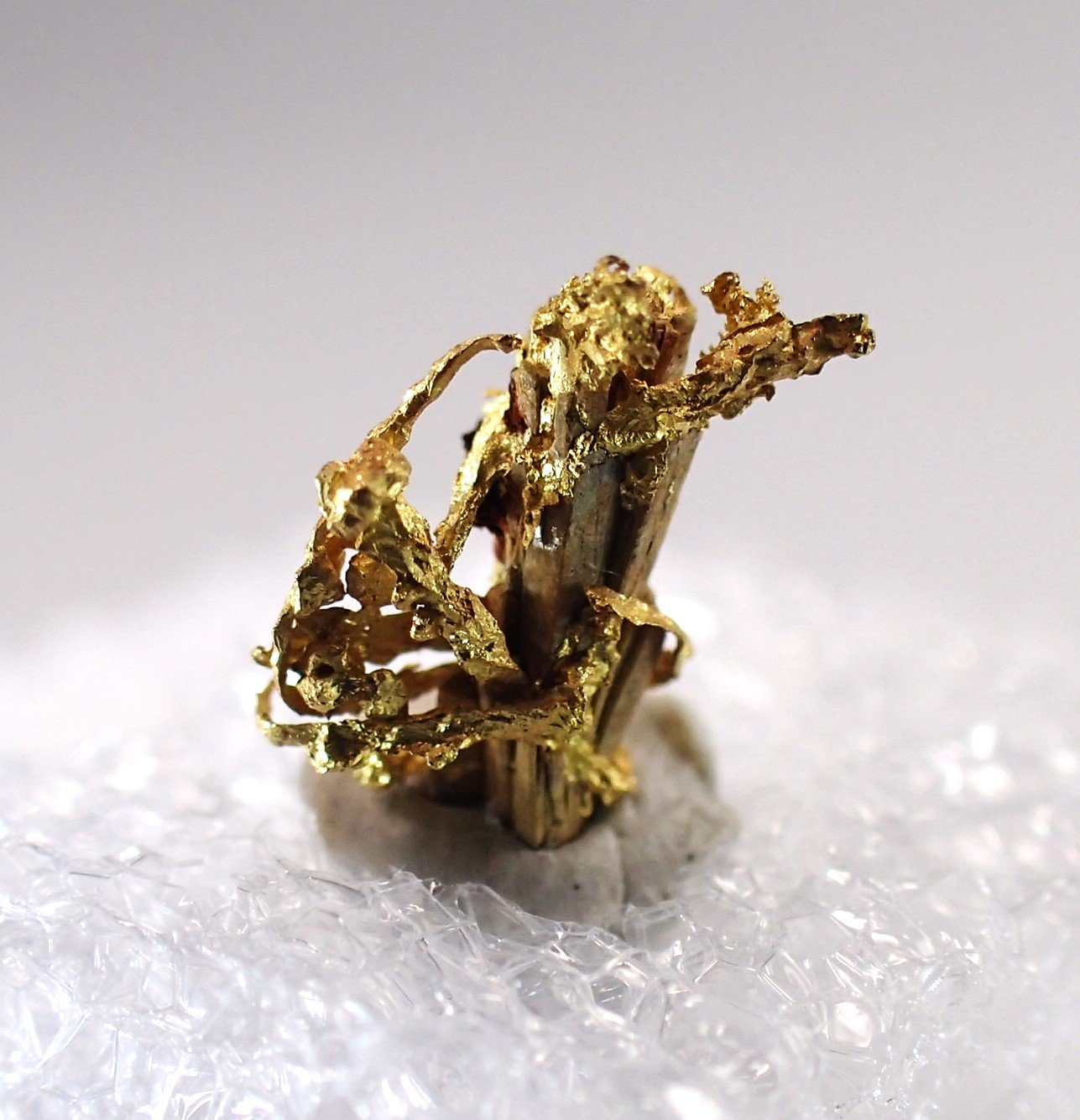 Gold
6.5 mm x 7 mm
(Autor: Don Lum)