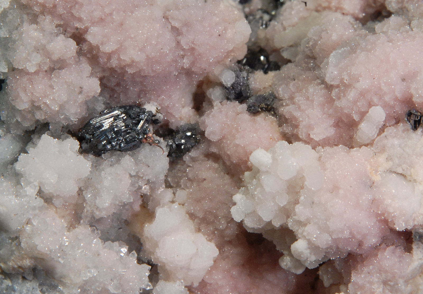 Pearceite
3.5 x 5.0 cm, FOV = 2.0 cm
(Autor: Michael Shaw)