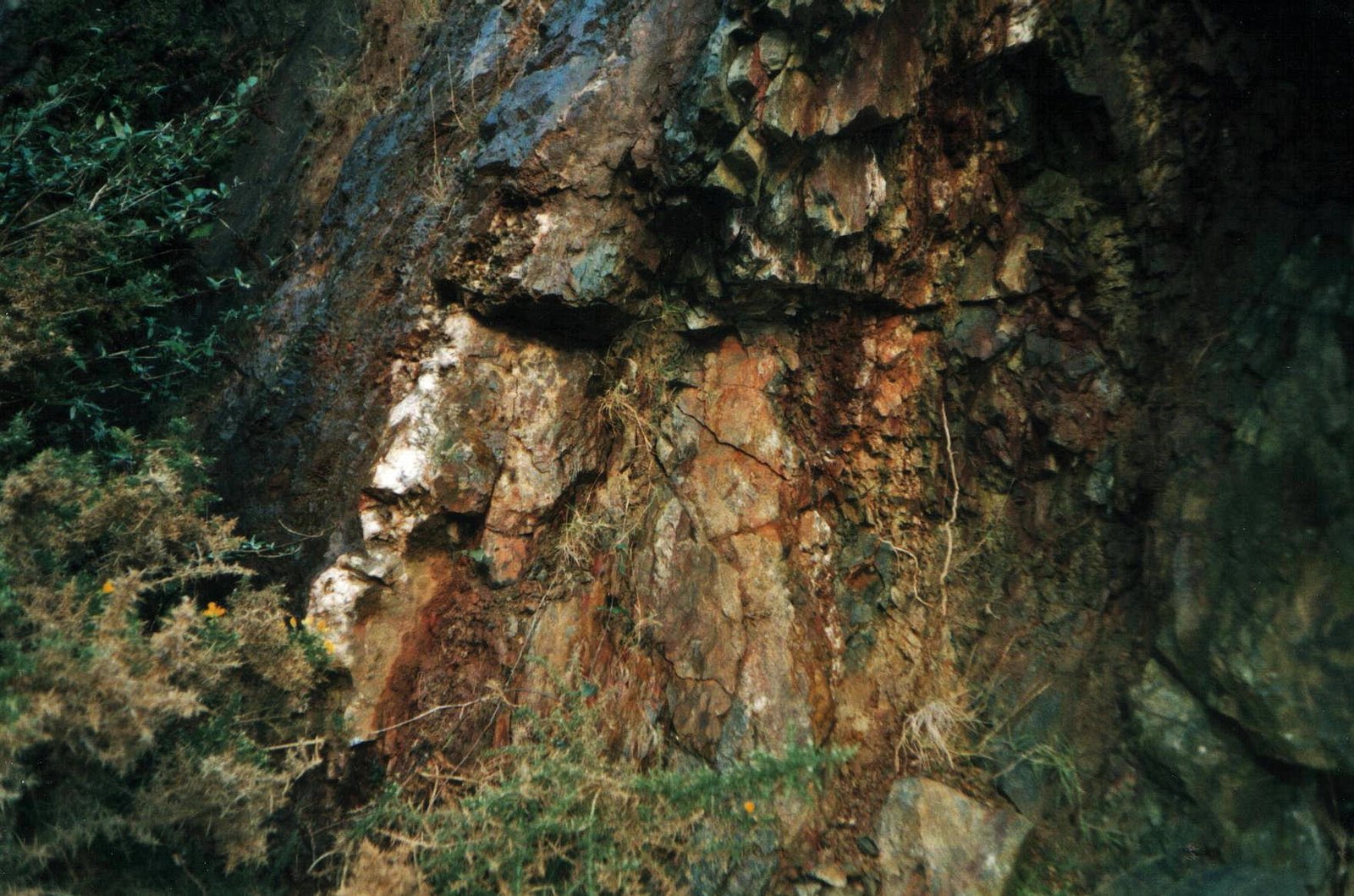 A 'crosscourse' vein
a few metres width
(Autor: markbeckett)