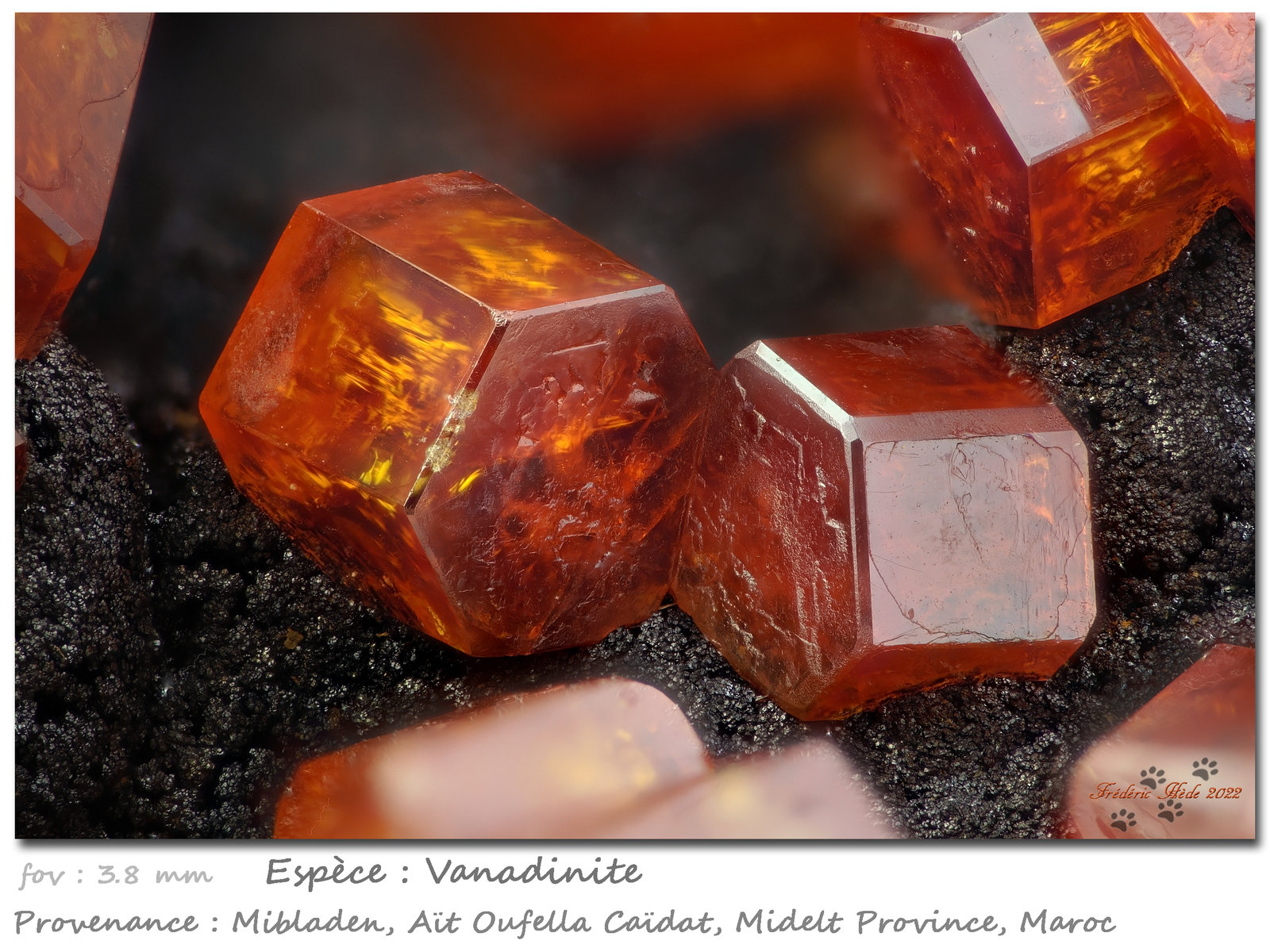Vanadinite
fov 3.8 mm
(Autor: ploum)