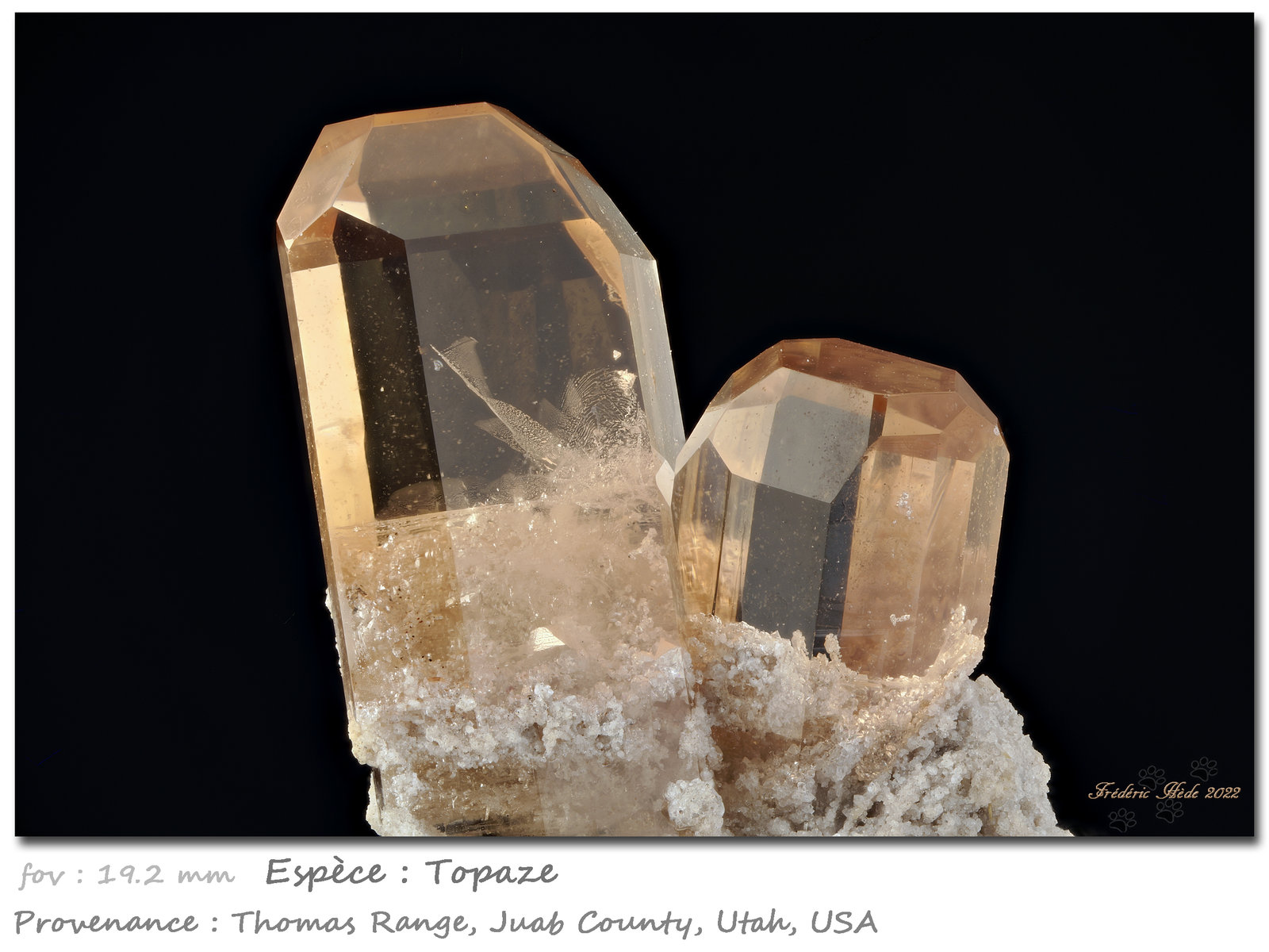 Topaz
fov 19.2 mm
(Autor: ploum)