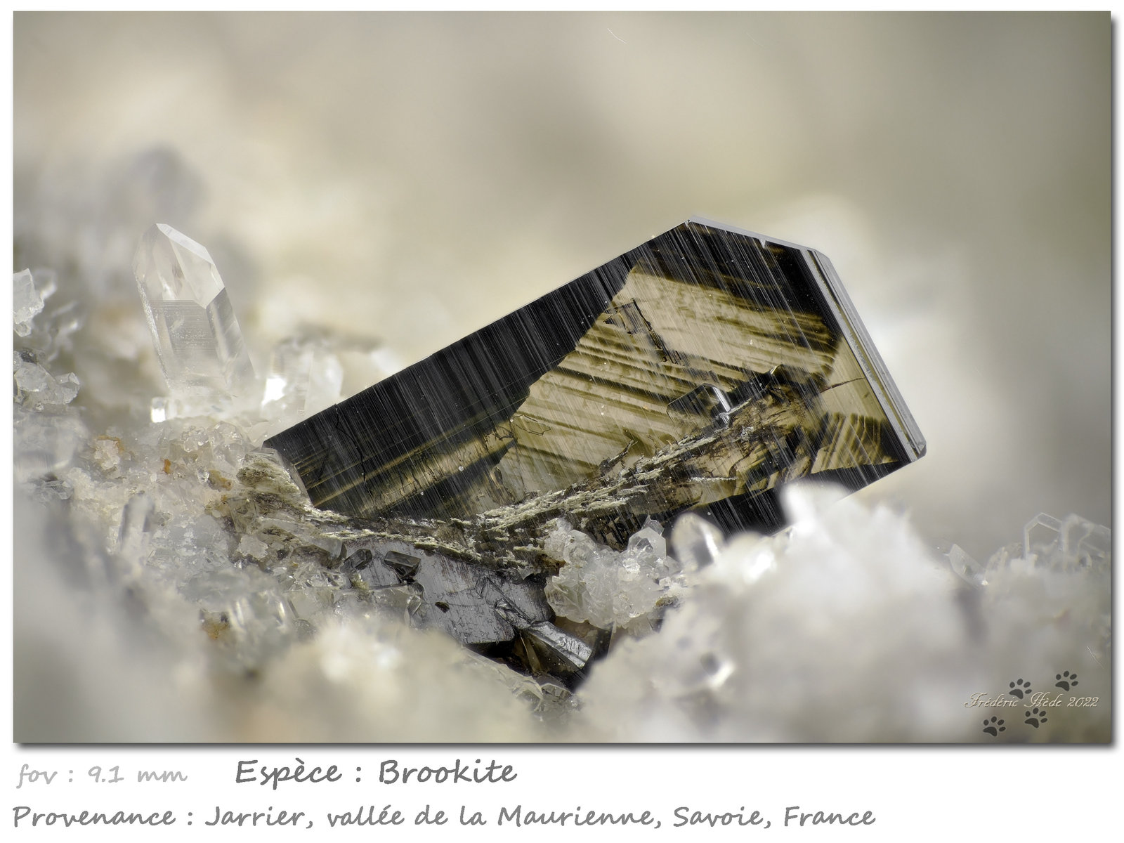 Brookite on Quartz
fov 9.1 mm
(Autor: ploum)