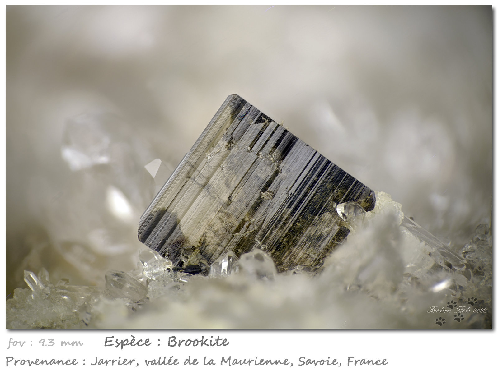 Brookite on Quartz
fov 9.3 mm
(Autor: ploum)
