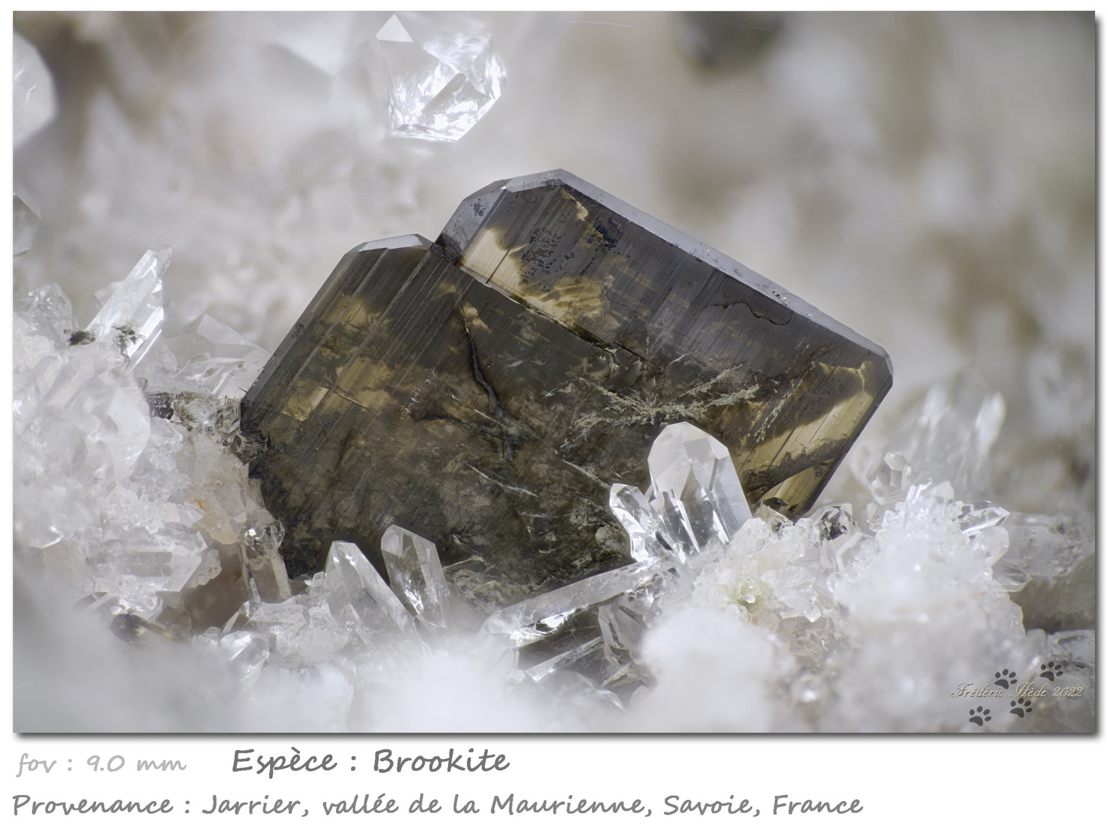 Brookite on Quartz
fov 9.0 mm
(Autor: ploum)