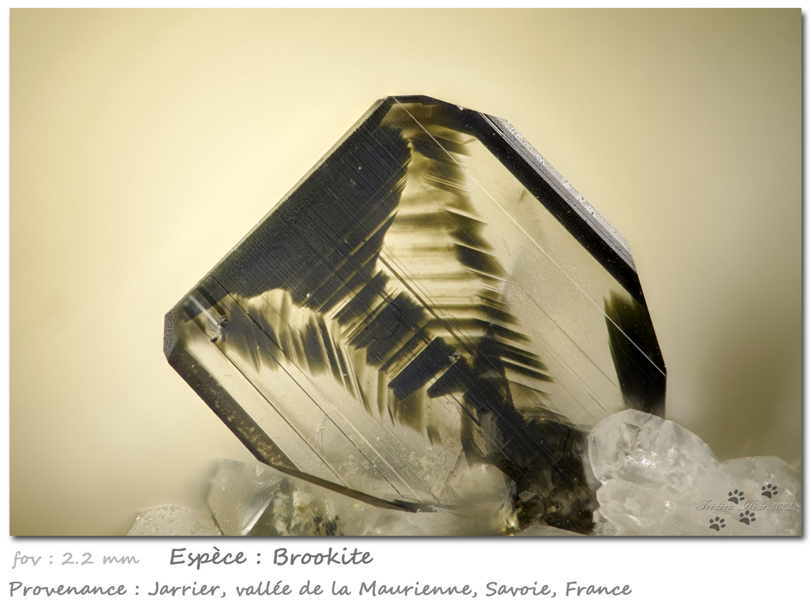 Brookite on Quartz
fov 2.2 mm
(Autor: ploum)