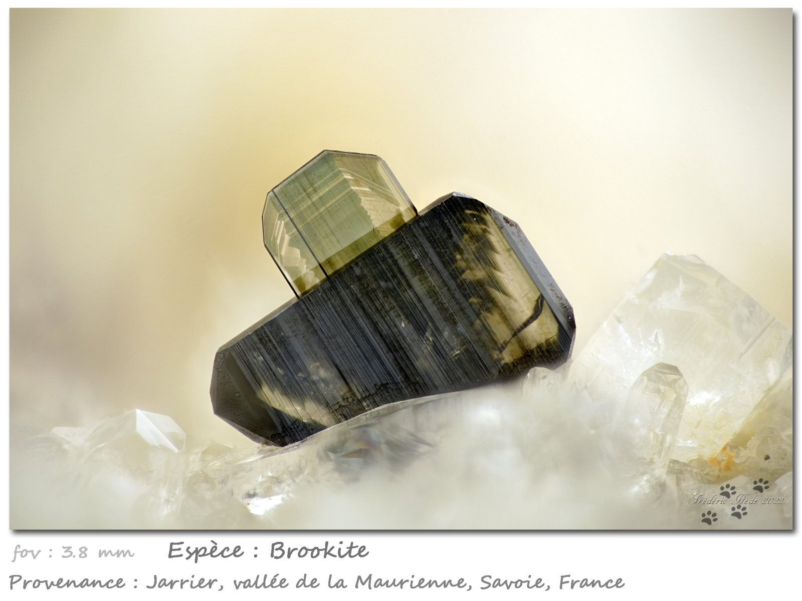 Brookite on Quartz
fov 3.8 mm
(Autor: ploum)