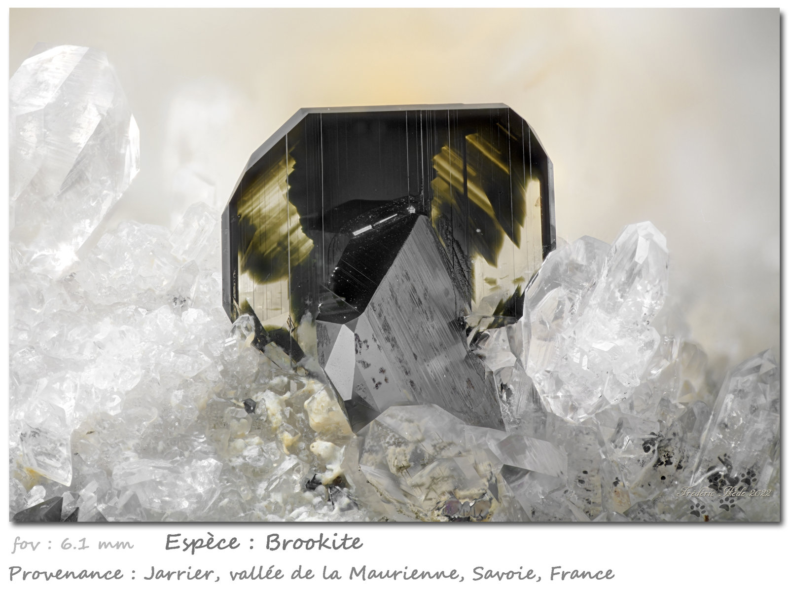 Brookite on Quartz
fov 6.1 mm
(Autor: ploum)