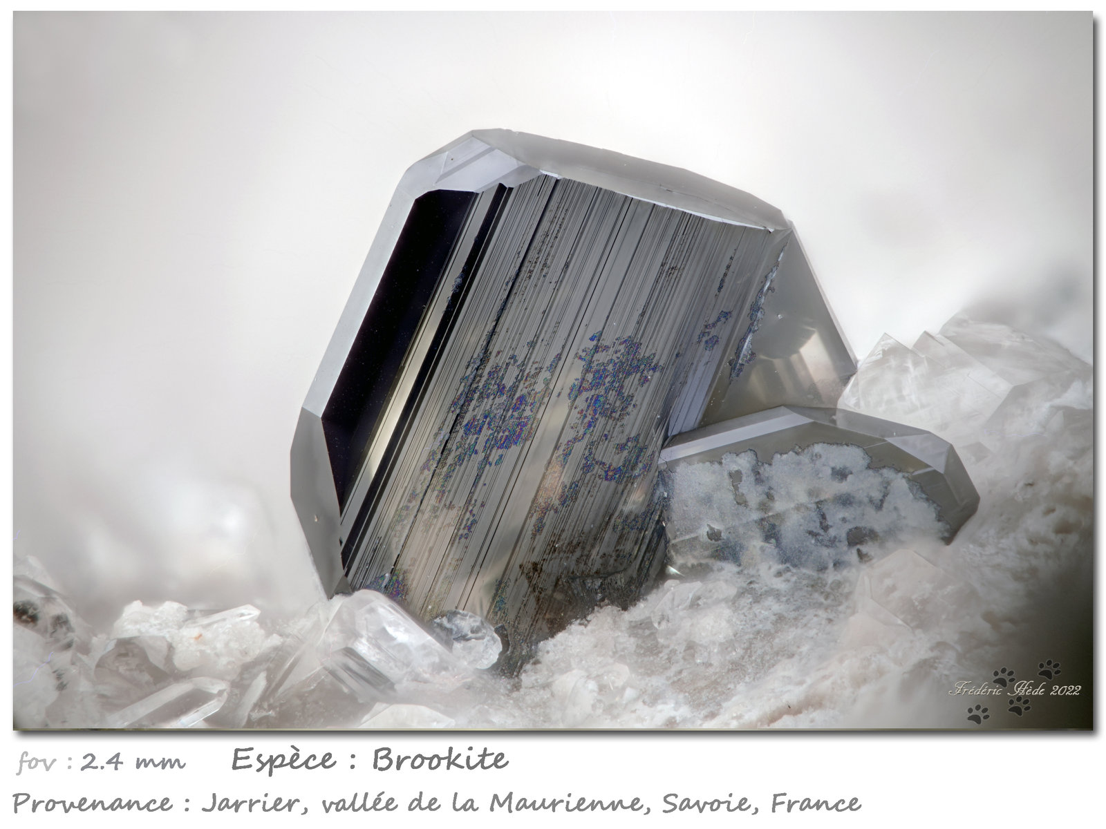 Brookite on Quartz
fov 2.4 mm
(Autor: ploum)
