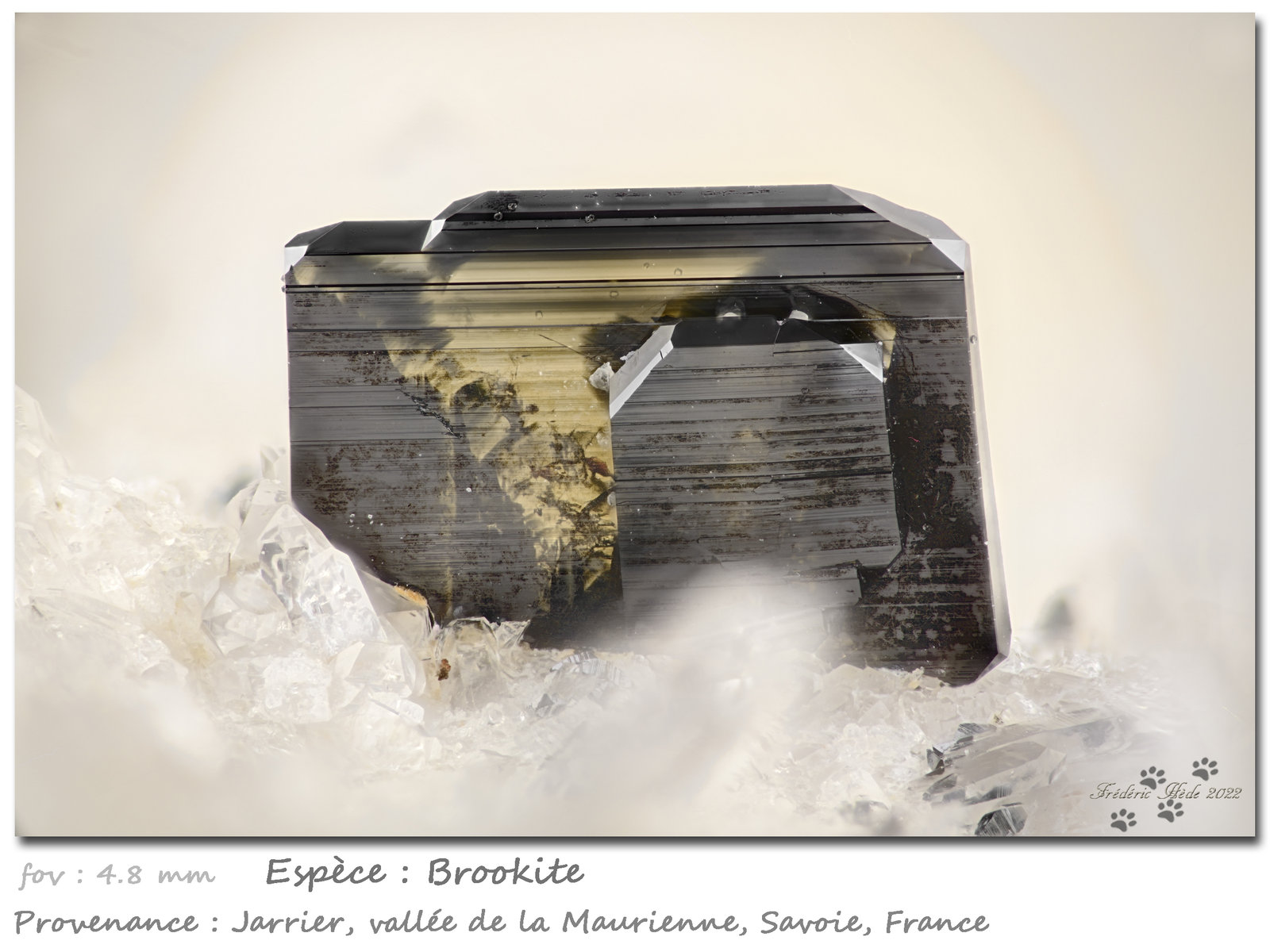 Brookite on Quartz
fov 4.8 mm
(Autor: ploum)