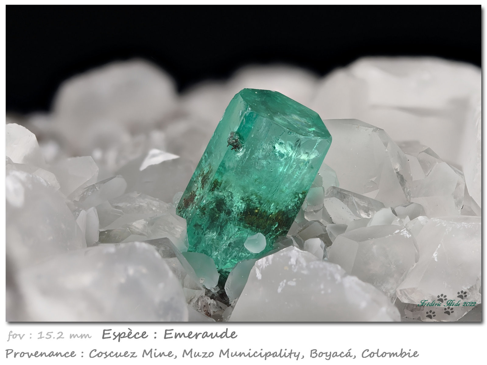 Beryl (variety emerald)
fov 15.2 mm
(Autor: ploum)