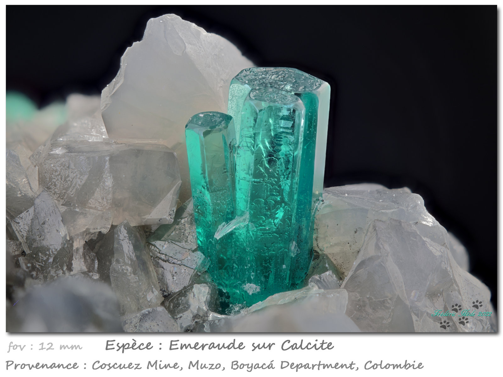 Beryl (variety emerald)
fov 12 mm
(Autor: ploum)