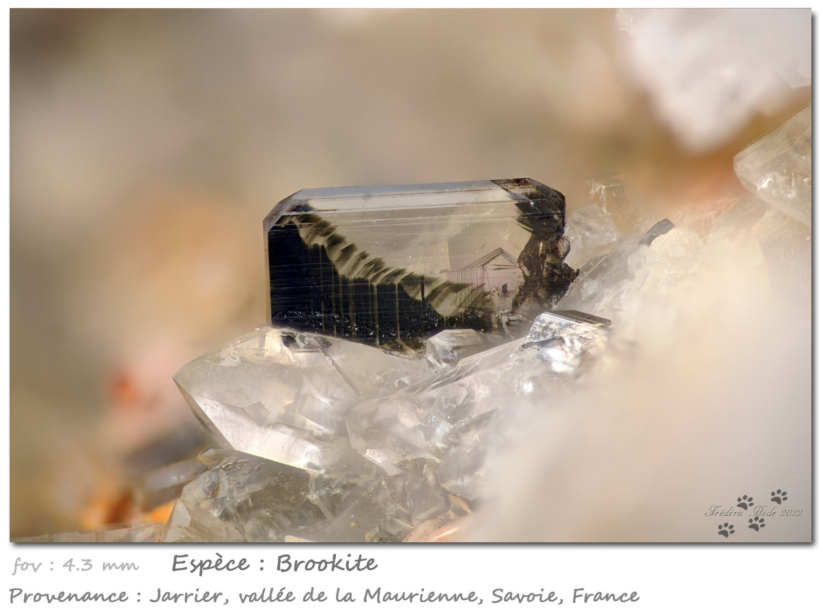 Brookite
fov 4.3 mm
(Autor: ploum)