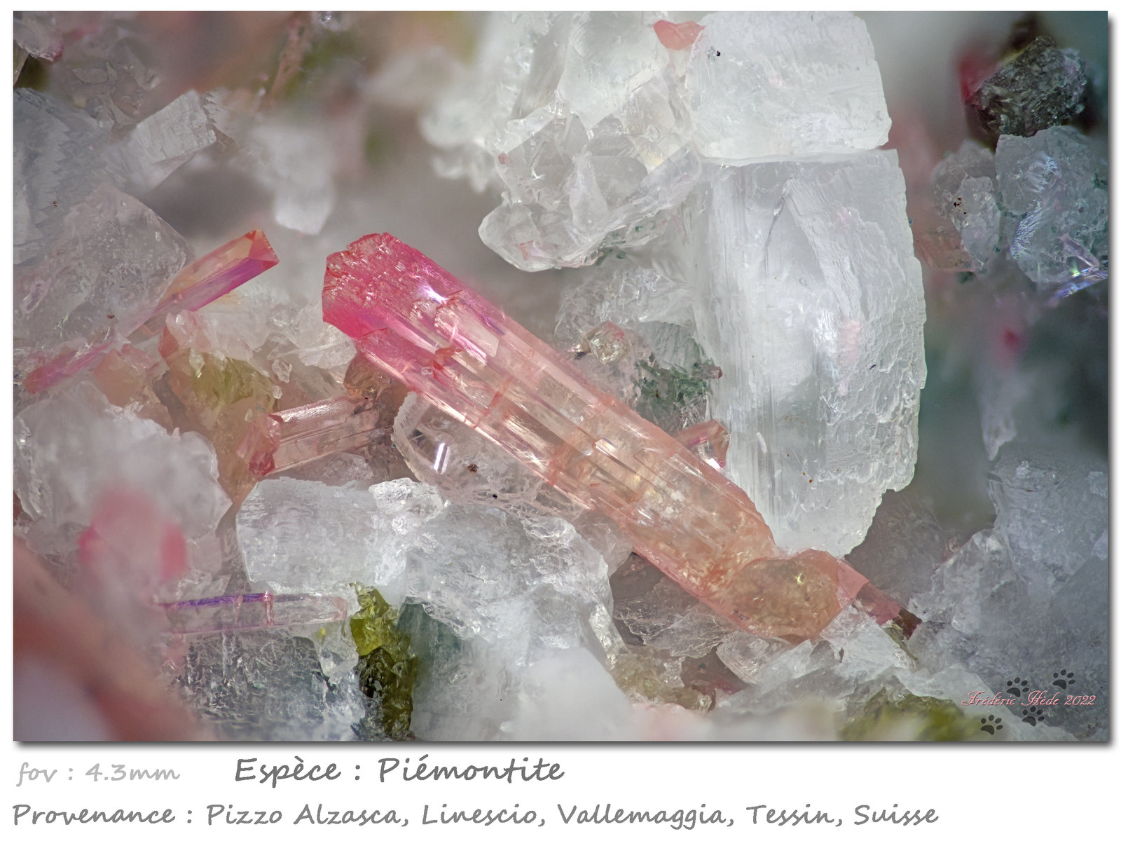 Piemontite
fov 4.3 mm
(Autor: ploum)