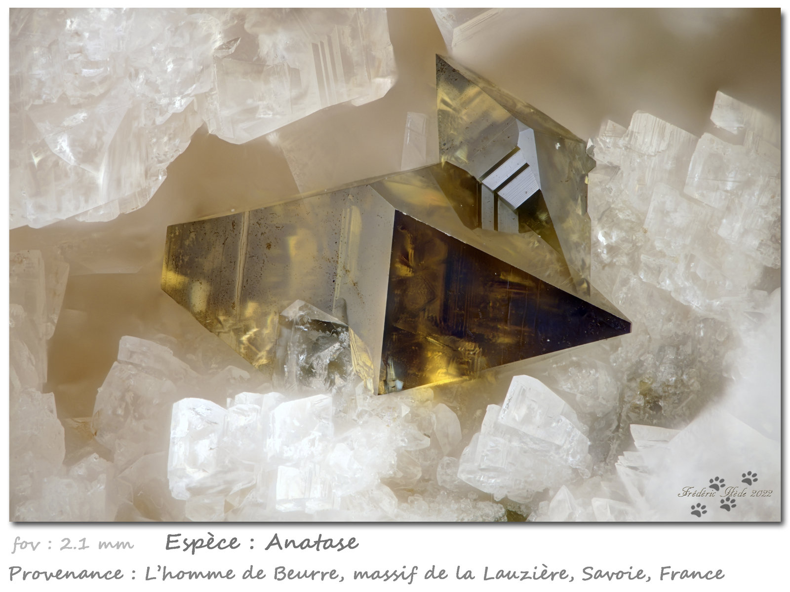 Anatase
fov 2.1 mm
(Autor: ploum)