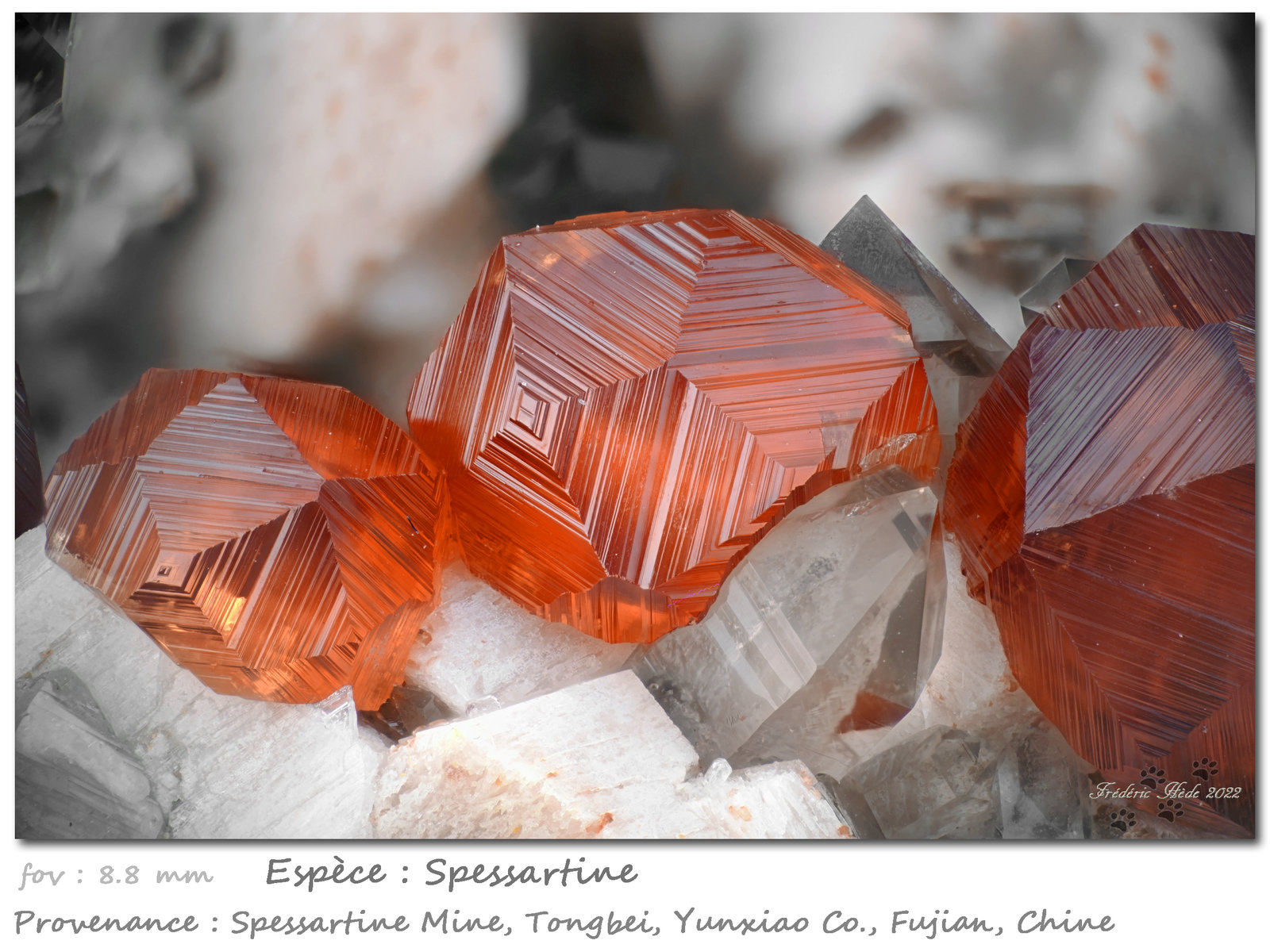 Spessartine
fov 8.8 mm
(Autor: ploum)