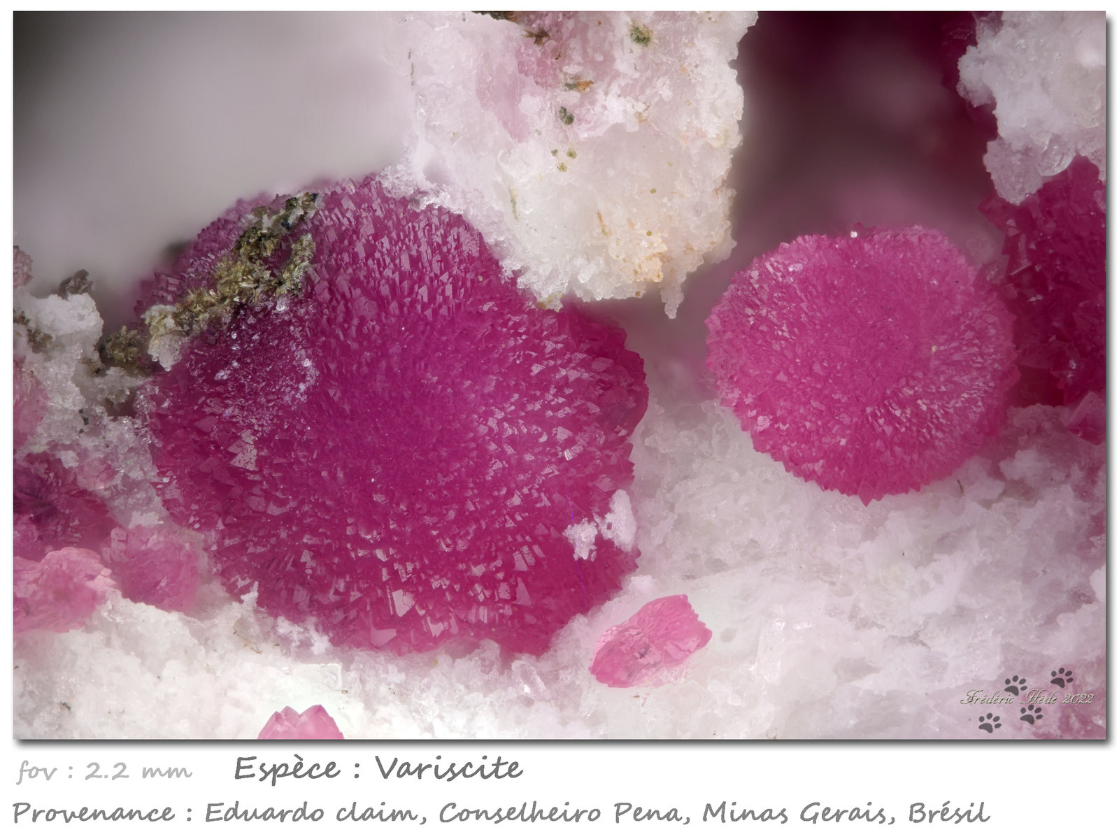 Variscite
fov 2.2 mm
(Autor: ploum)