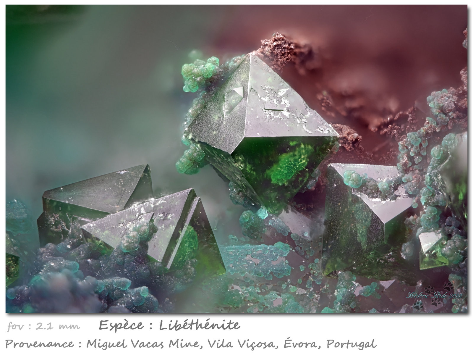 Libethenite, Turquoise
fov 2.1 mm
(Autor: ploum)