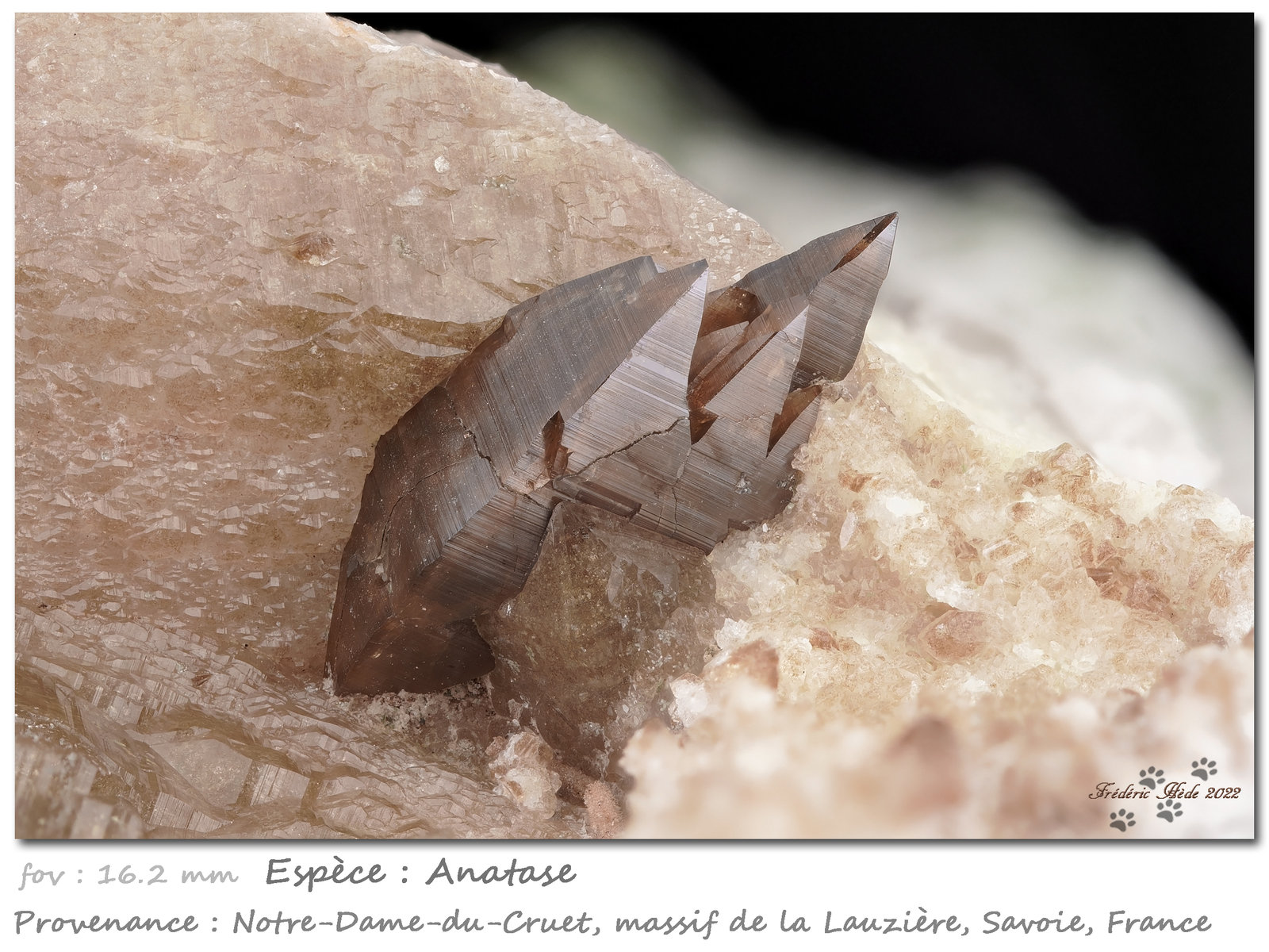 Anatase
fov 16.2 mm
(Autor: ploum)