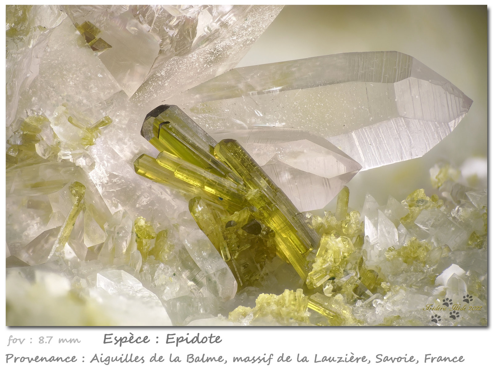 Epidote with Quartz
fov 8.7 mm
(Autor: ploum)