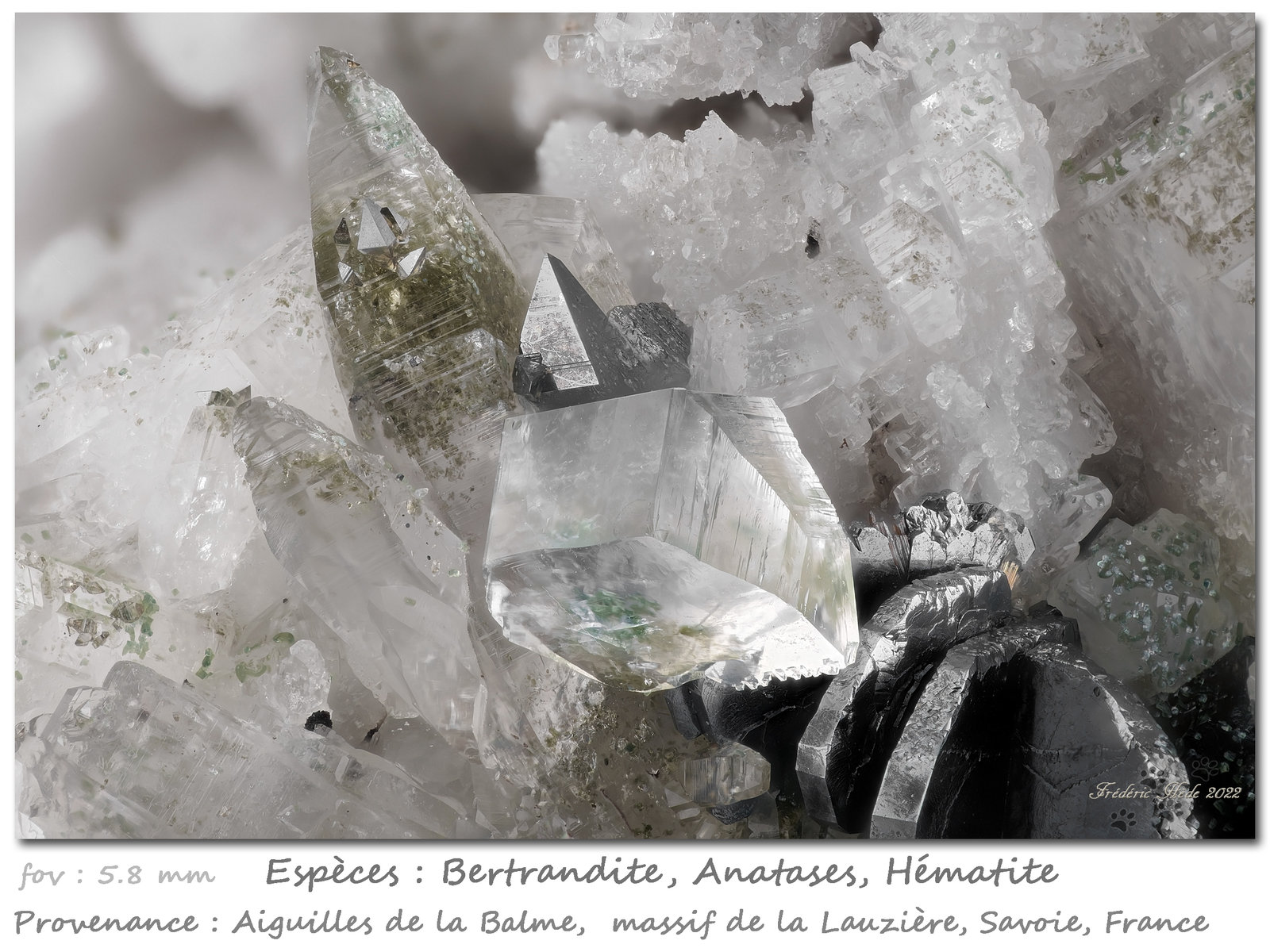 Bertrandite and Anatase
fov 5.8 mm
(Autor: ploum)