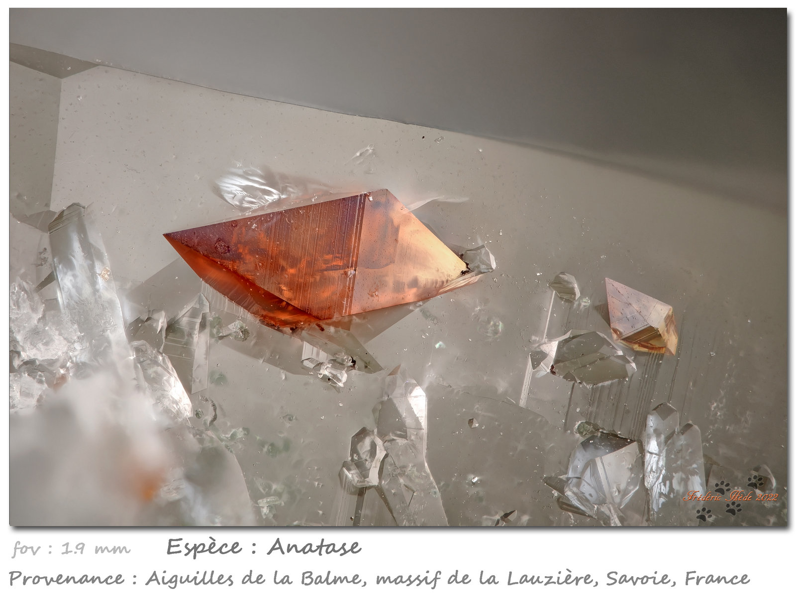 Anatase on Quartz
fov 1.9 mm
(Autor: ploum)
