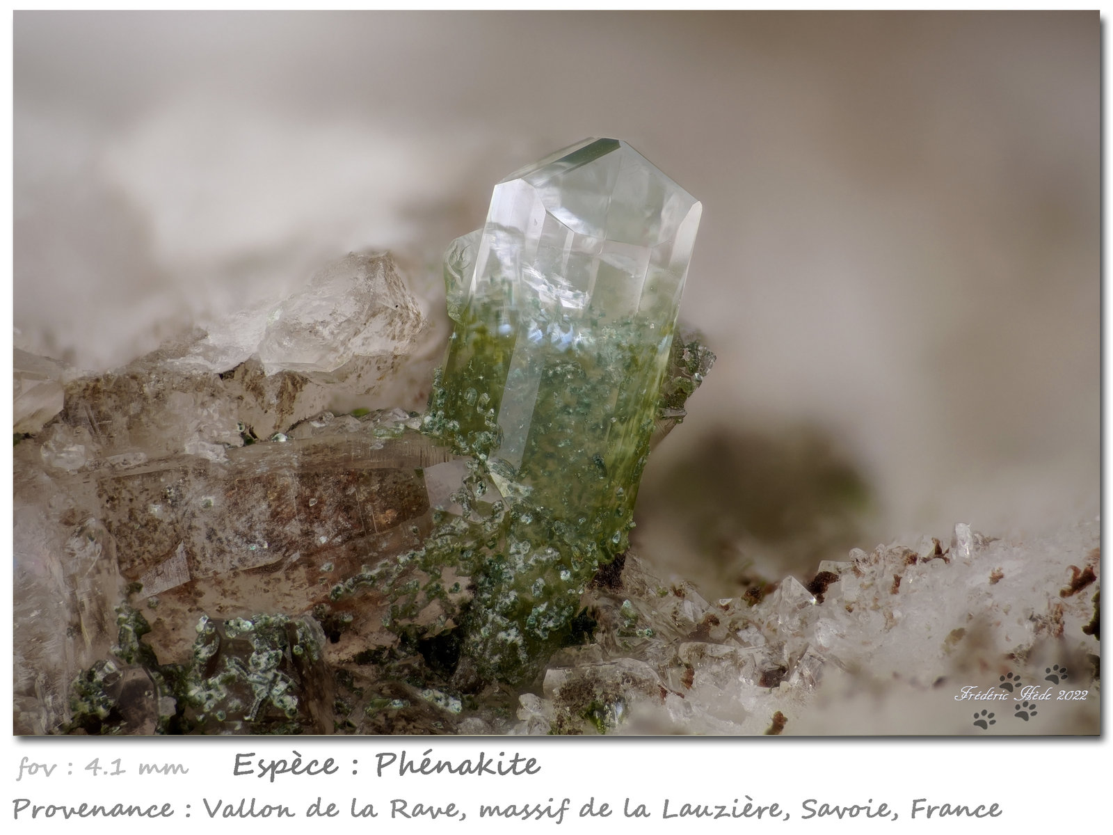 Phenakite
fov 4.1 mm
(Autor: ploum)