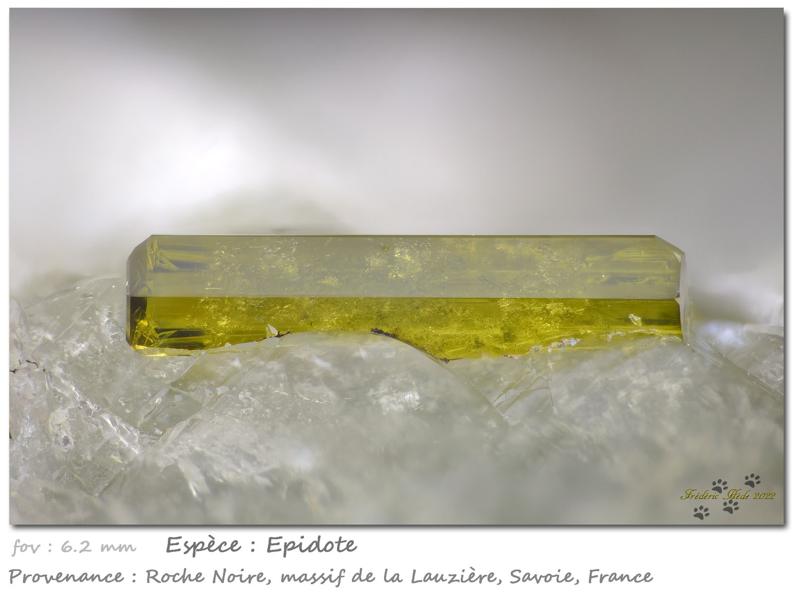 Epidote
fov 6.2 mm
(Autor: ploum)