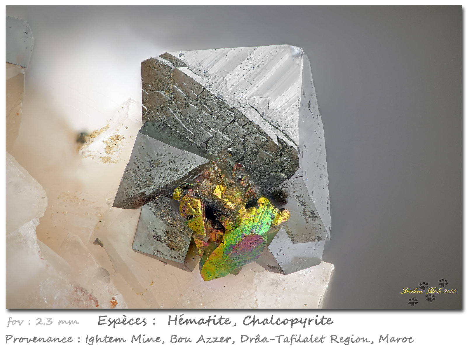 Hematite and Chalcopyrite
fov 2.3 mm
(Autor: ploum)