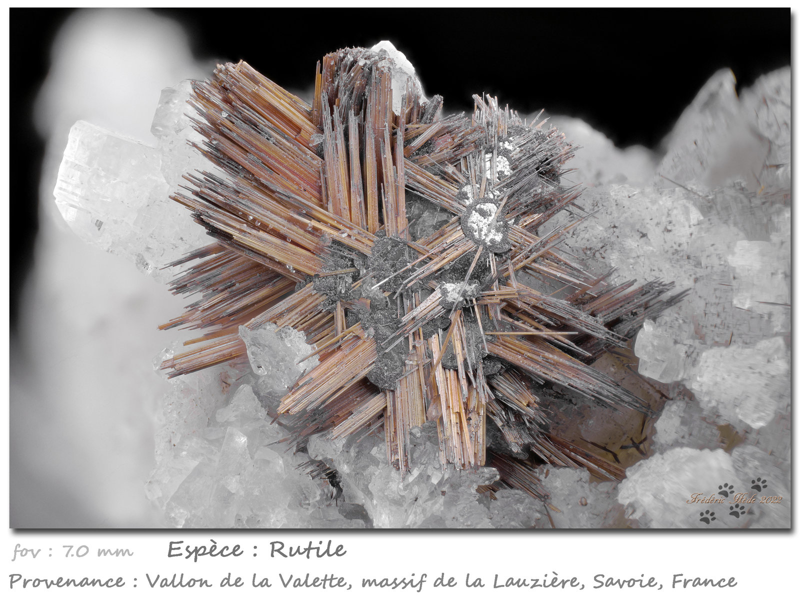 Rutile
fov 7 mm
(Autor: ploum)