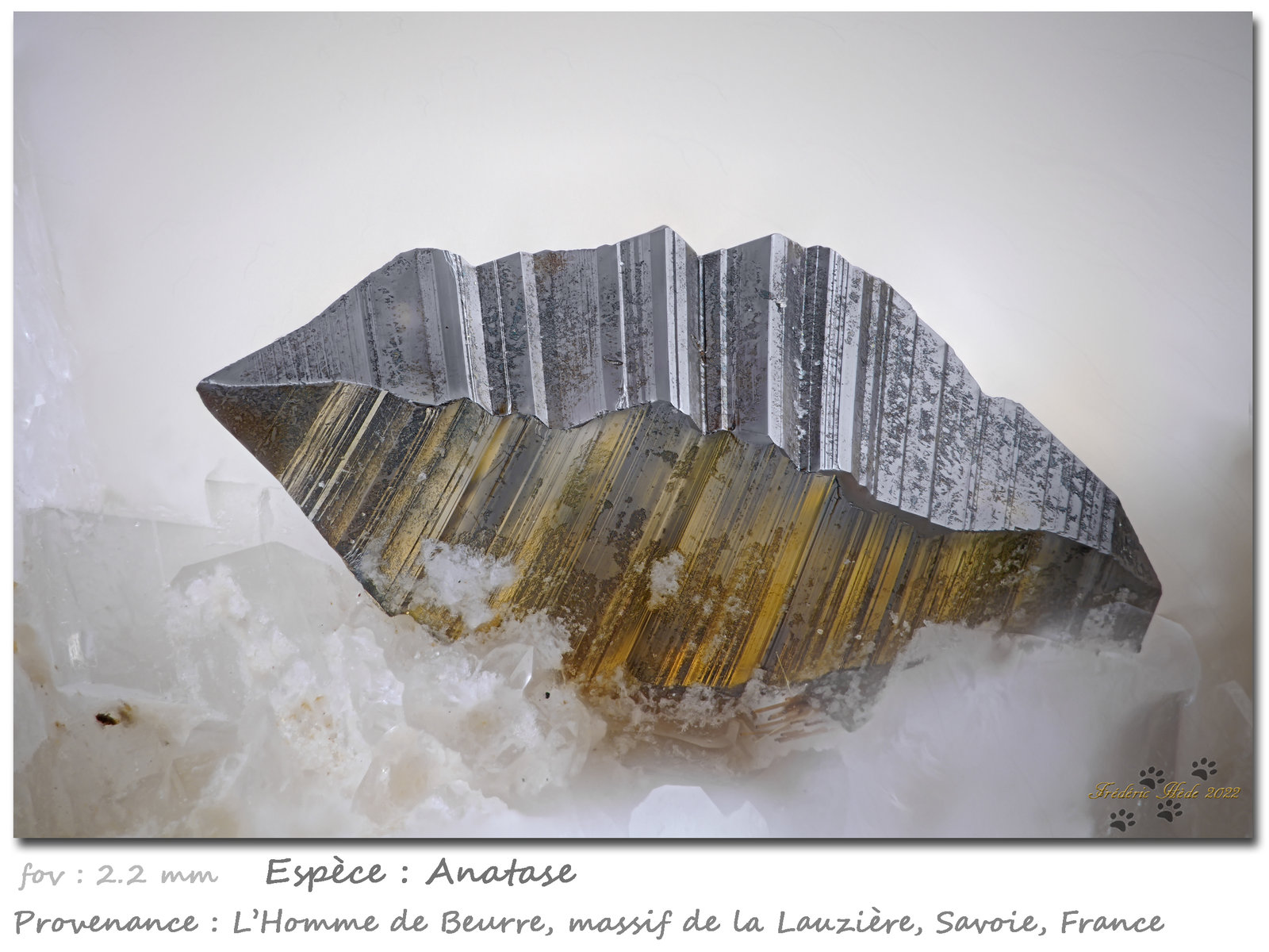 Anatase
fov 2.2 mm
(Autor: ploum)