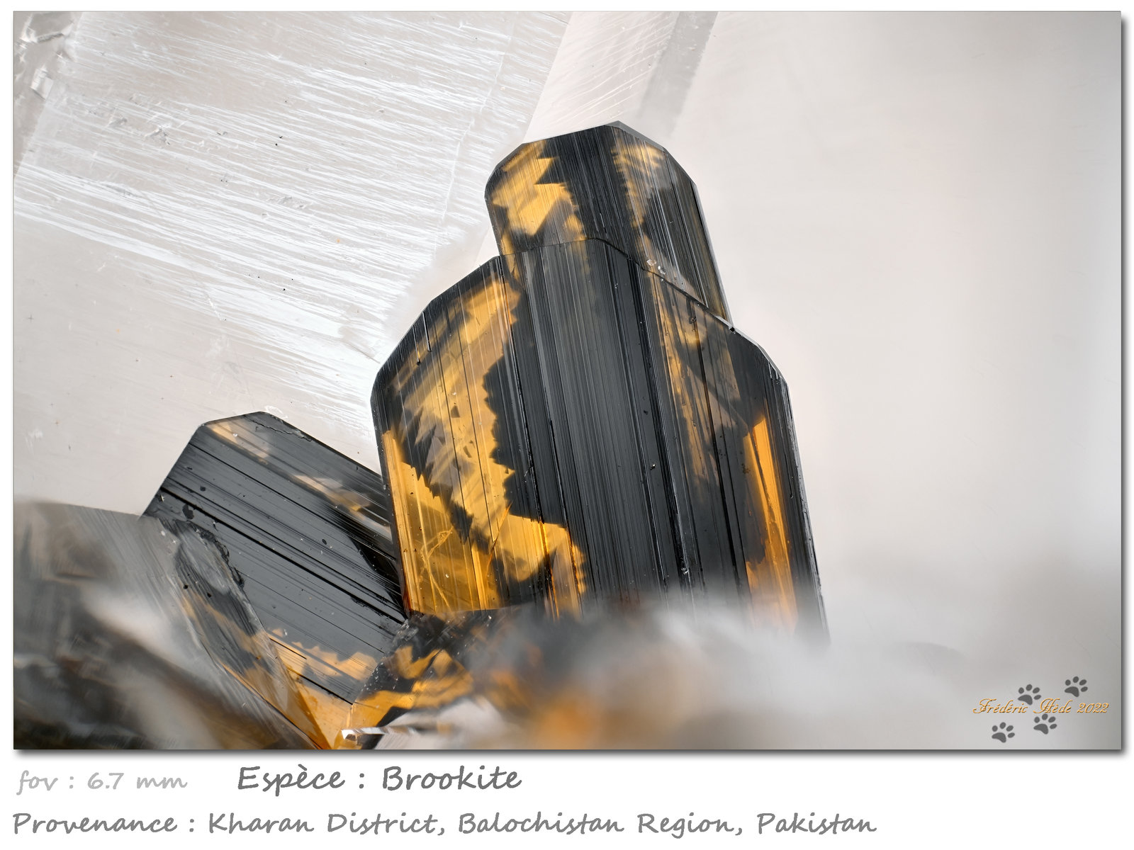 Brookite
fov 6.7 mm
(Autor: ploum)