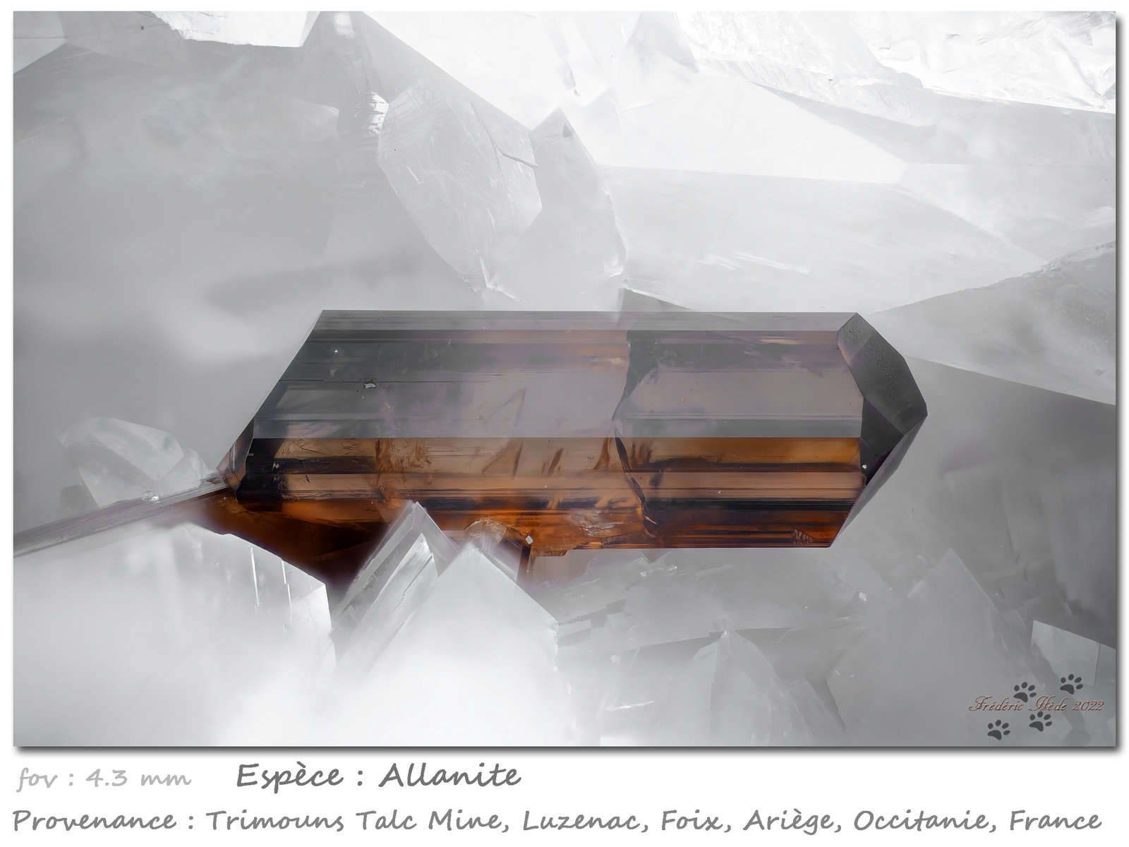 Allanite-(Ce)
fov 4.3 mm
(Autor: ploum)