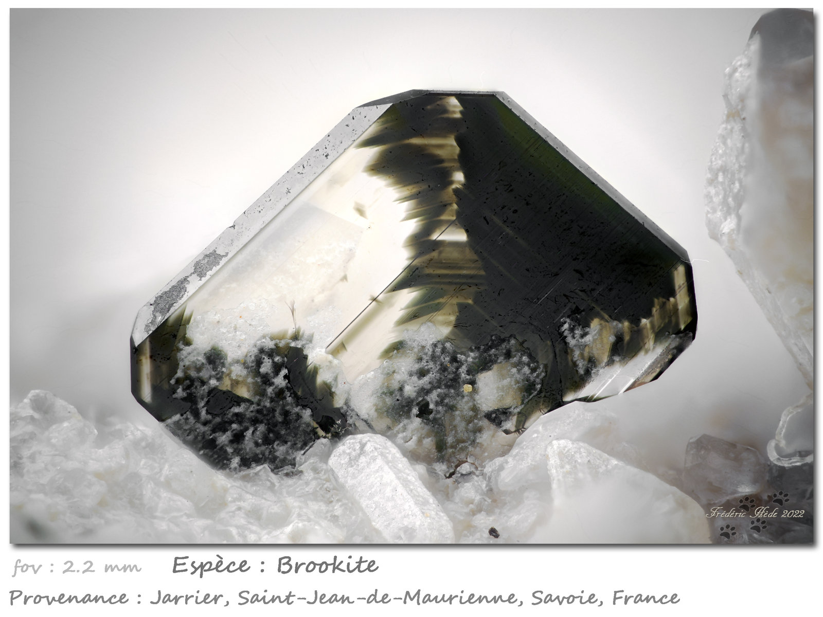 Brookite
fov 2.2 mm
(Autor: ploum)